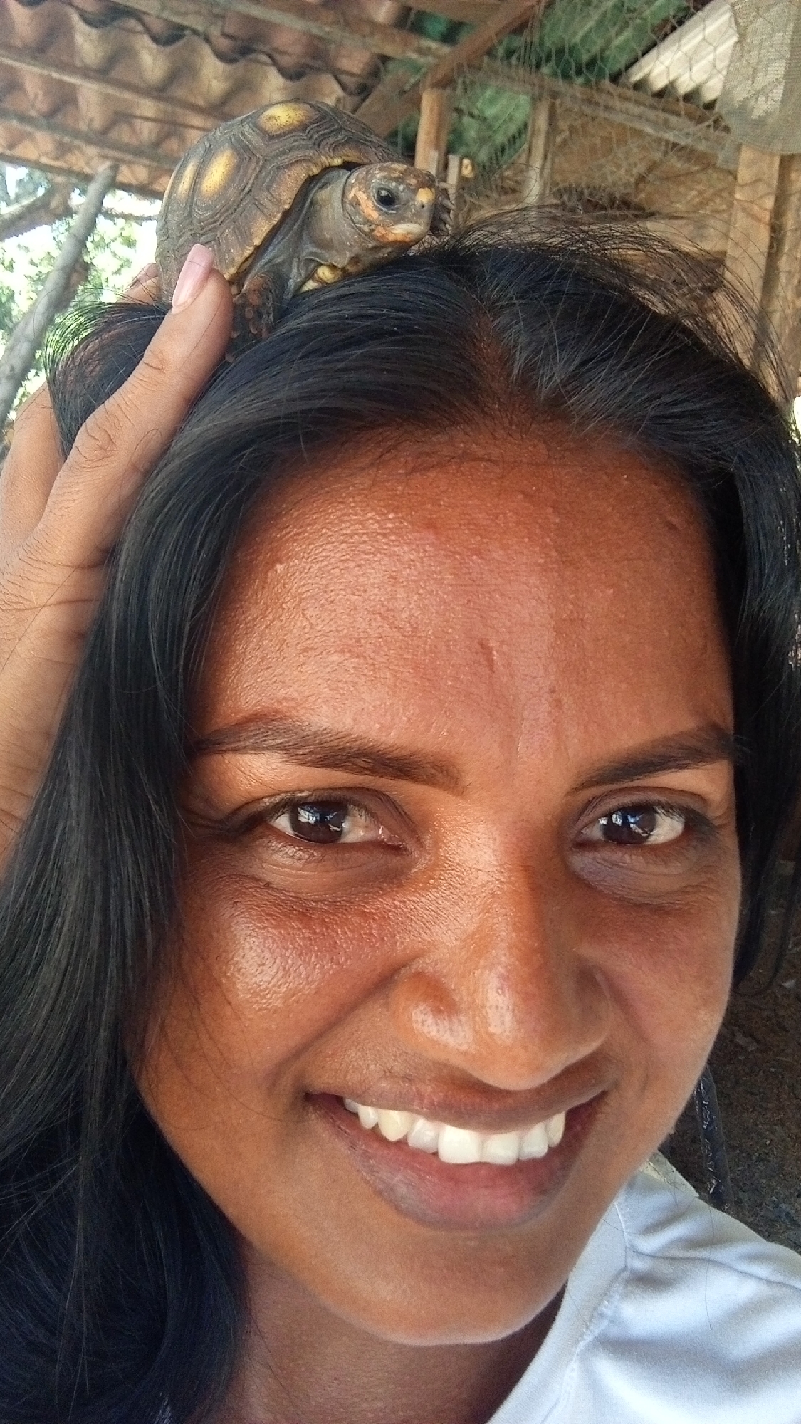 A close-up, eye-level shot captures a smiling woman with a small tortoise perched on her head, gently supported by her hand. The woman, with dark skin, dark hair, and dark eyes, looks directly at the camera, her broad smile revealing white teeth. A small tortoise with a patterned brown and yellow shell is positioned on the top of her head. Her left hand, with neatly manicured nails and pink polish, is visible on the left side of her head, subtly holding the tortoise in place.
The background is softly blurred but indicates an outdoor or semi-open setting, featuring a rustic tiled or corrugated roof structure and some wire mesh or netting, suggesting an enclosure or rural environment. The bright lighting on her face suggests it is daytime. Her skin appears slightly shiny, possibly from warmth or sun. The overall mood conveyed is one of happiness or amusement due to her expression. No text is visible in the image.