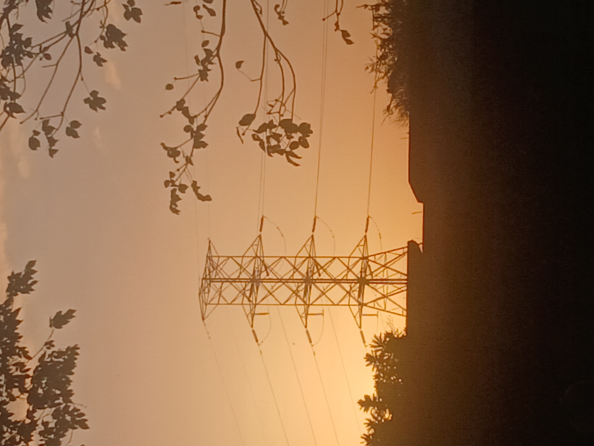 The image captures a scene in Ciudad Guayana, Venezuela, featuring a silhouetted metal electrical transmission tower against a muted, orange-toned sky, likely at dawn or dusk. Vegetation, including tree branches and foliage, is visible as dark outlines in the foreground and to the right of the tower. The tower itself is constructed from a lattice of metal beams, supporting power lines that stretch across the frame. The overall lighting creates a contrast between the structures and vegetation and the sky.
