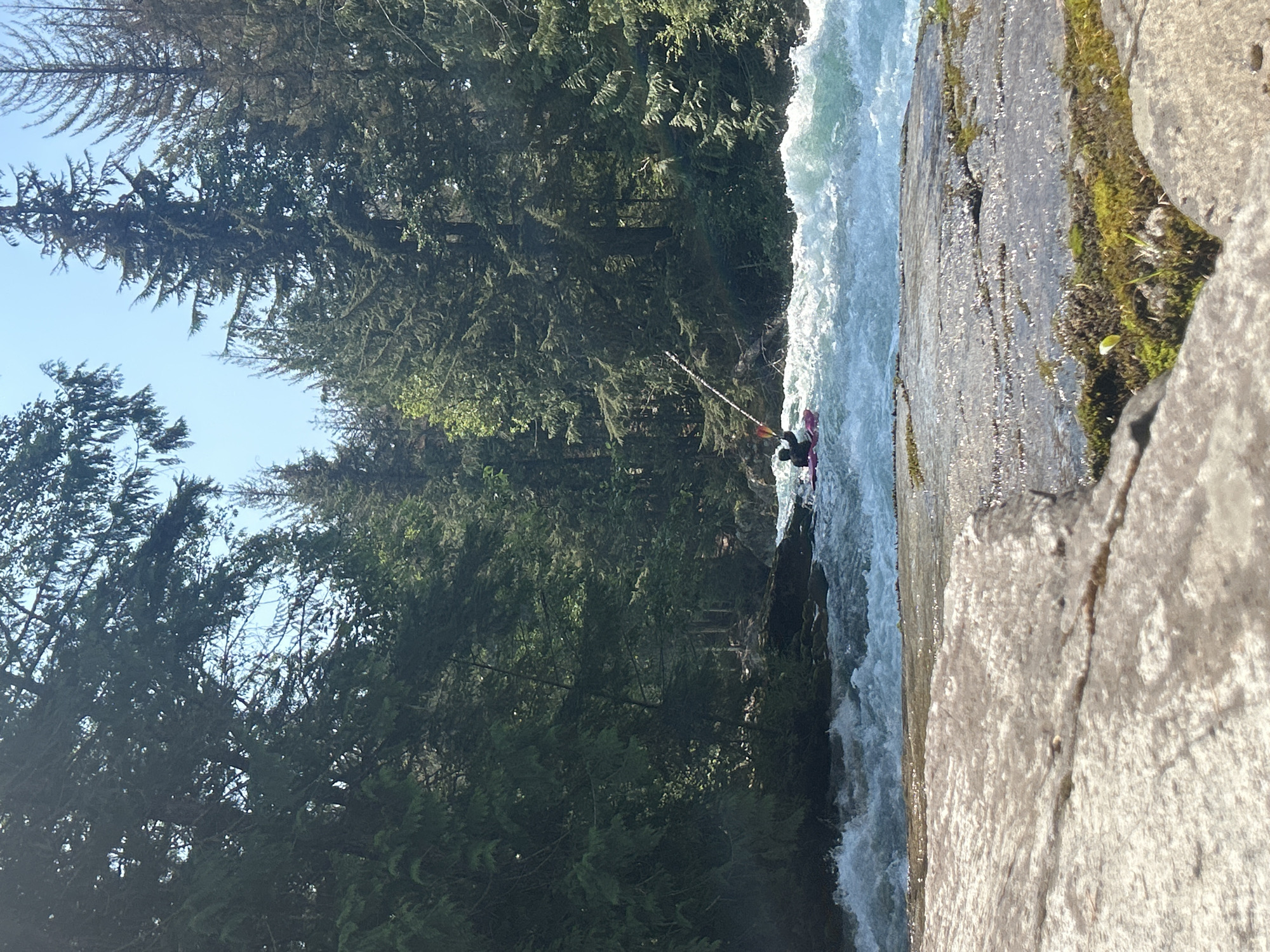 A kayaker navigates whitewater rapids on a river surrounded by a dense coniferous forest. The kayaker, wearing a black top, is in a pink kayak and holding a paddle. The river is turbulent, with significant white water. The forest consists of tall evergreen trees. In the foreground, large, flat rocks covered in moss are visible. The sky is clear and blue. The location is likely in or near Whistler, Canada, given the dense forest and mountainous terrain often associated with the area, though the specific location within Whistler is not identifiable from the image alone.