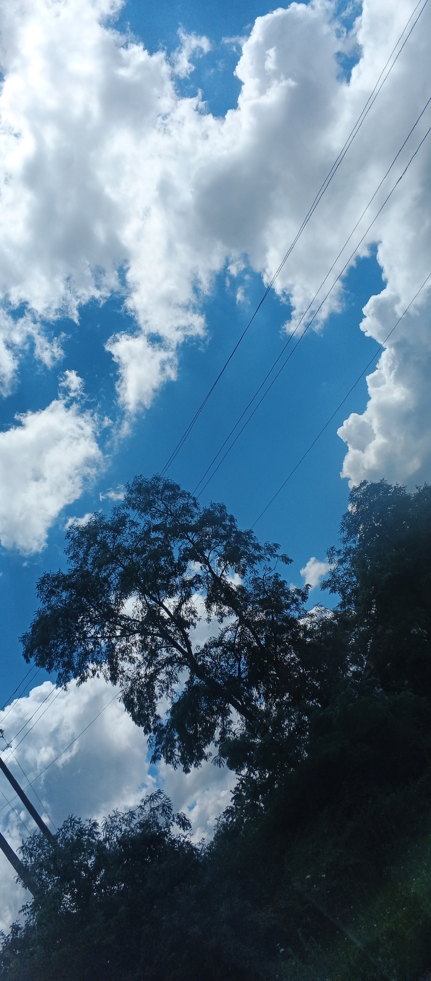 The image shows a view of the sky with clouds, trees and power lines. The sky is blue with scattered white clouds. The trees are dark green and appear to be dense. The power lines are thin and black and are stretched across the sky. The scene appears to be outdoors in a rural or suburban area. The location is Popivka, Ukraine.