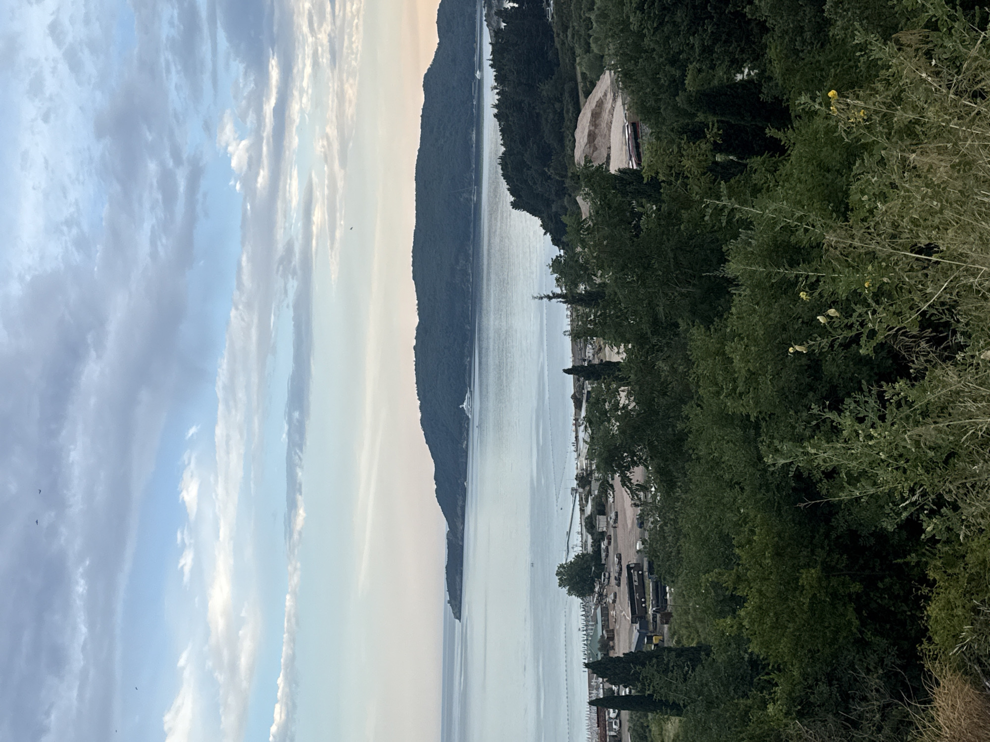 This is a vertical, eye-level, outdoor, medium shot of a landscape scene. The image captures a calm body of water, possibly a bay or inlet, reflecting the soft light of the sky. On the far side of the water, a dark, tree-covered mountain range stretches across the horizon. The foreground and right side of the image are dominated by dense, green foliage, with some dry grass and yellow wildflowers visible.
Along the shoreline, a small settlement or resort area is discernible, with buildings, boats docked at a marina, and some vehicles. A large pile of light-colored sand or rock is situated on the right side of the shore, near the trees. The sky is partly cloudy, with streaks of white and gray clouds against a pale blue and soft pinkish-orange hue, suggesting it might be early morning or late evening. A few small birds are visible as dark specks in the sky.
The overall mood is serene and natural, with a sense of peacefulness associated with a coastal landscape. The location appears to be a tranquil area with both natural beauty and some human development. No text is visible in the image.
