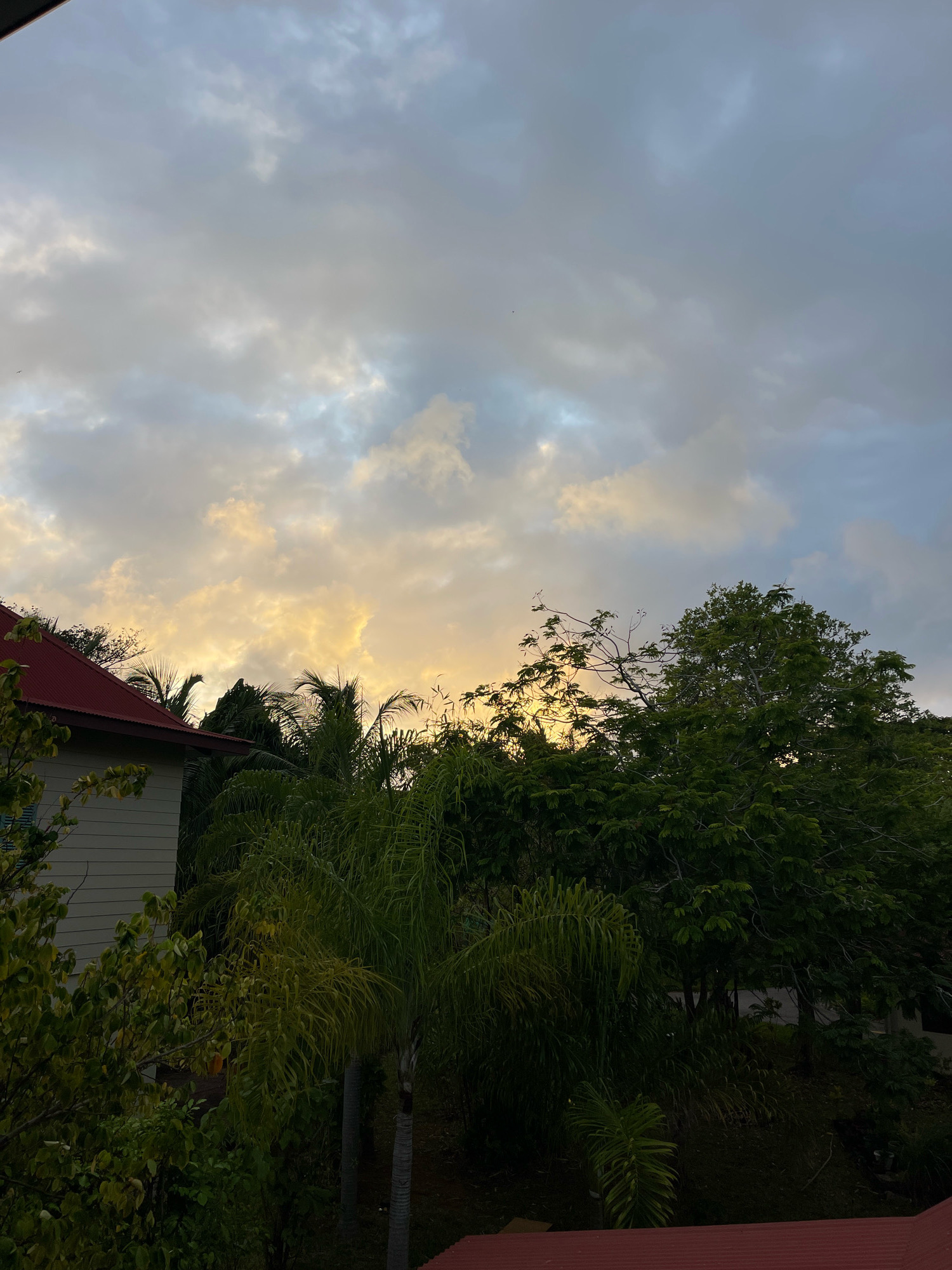 The image captures a view of the sky above a residential area in Victoria, Seychelles. The sky is filled with a mix of gray and yellow clouds, suggesting either sunset or sunrise. A house with a red roof is visible on the left side of the frame, partially obscured by lush green trees and palm fronds. The vegetation is dense, typical of a tropical climate. The overall scene depicts a serene, natural environment within an urban setting. There are no people or animals visible in the image.