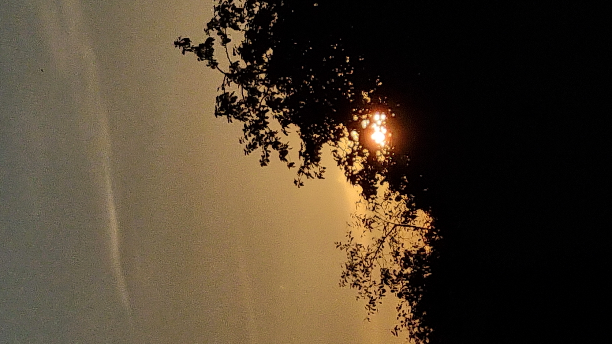 The image captures a sunset scene with silhouetted trees against a gradient sky. The sky transitions from a pale yellow at the top to a warmer orange hue near the horizon. A faint, wispy cloud stretches horizontally across the upper portion of the sky. The sun is partially obscured by the dark foliage of the trees, creating a bright, shimmering effect as its rays peek through the leaves. The trees are densely packed and appear to be located in a natural or park-like setting. The lower portion of the image is dominated by the dark silhouette of more trees and foliage, leading to a black frame at the very bottom. No people or specific urban features are visible, suggesting the location is likely a green area within or on the outskirts of Vysokoe, Russia. The overall impression is one of natural beauty during twilight.