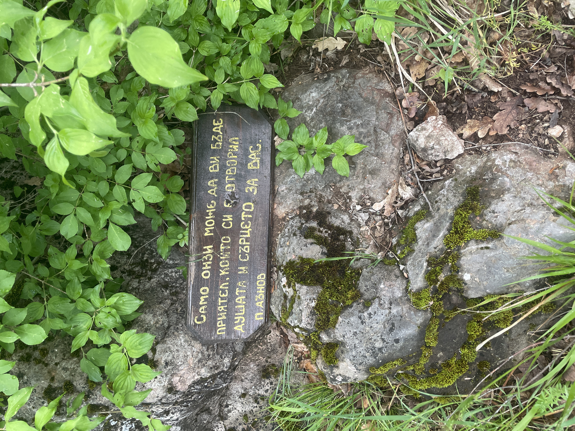 The image shows a wooden sign with Bulgarian text, surrounded by greenery and placed on a rock covered in moss. The sign reads "Само онзи може да ви бъде приятел, който си създал душата и сърцето за вас. П.Азнов", which translates to "Only he can be your friend who has created his soul and heart for you. P.Aznov". The scene appears to be outdoors, possibly in a natural or park setting. Although there are no signs indicating the specific location in Novo Selo, Bulgaria, the overall impression is a memorial or commemorative plaque in a green space.