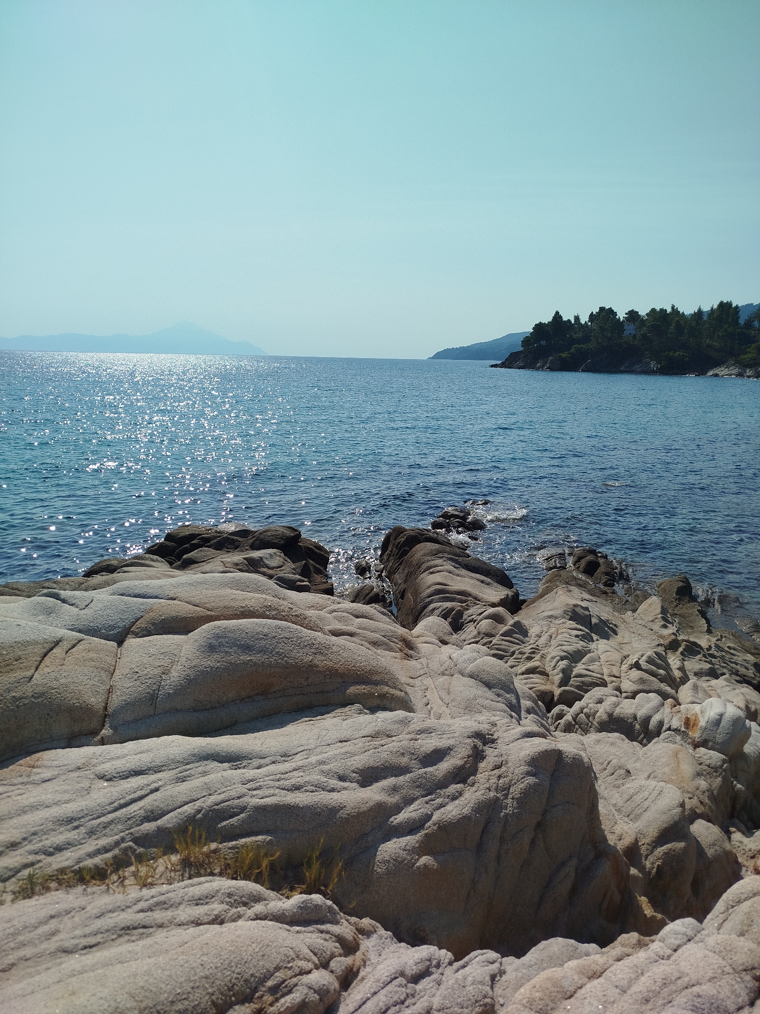The image depicts a coastal landscape in the Sithonia Municipal Unit, Greece. In the foreground, large, weathered rocks with a light beige hue are prominently displayed. These rocks exhibit smooth, eroded surfaces with intricate lines and textures. Sparse, dry, light brown vegetation is visible growing in crevices between the rocks.
The middle ground features the clear blue sea, reflecting the bright sunlight in a dazzling pattern of sparkles. A distant landmass with a conical mountain peak is visible on the horizon, bathed in a hazy light. To the right, a lush, green, tree-covered peninsula juts into the sea, with some buildings nestled amongst the trees. The sky is a pale, clear blue.
The scene is devoid of any people or animals. The overall impression is one of natural beauty and tranquility, characteristic of a Mediterranean coastline.
