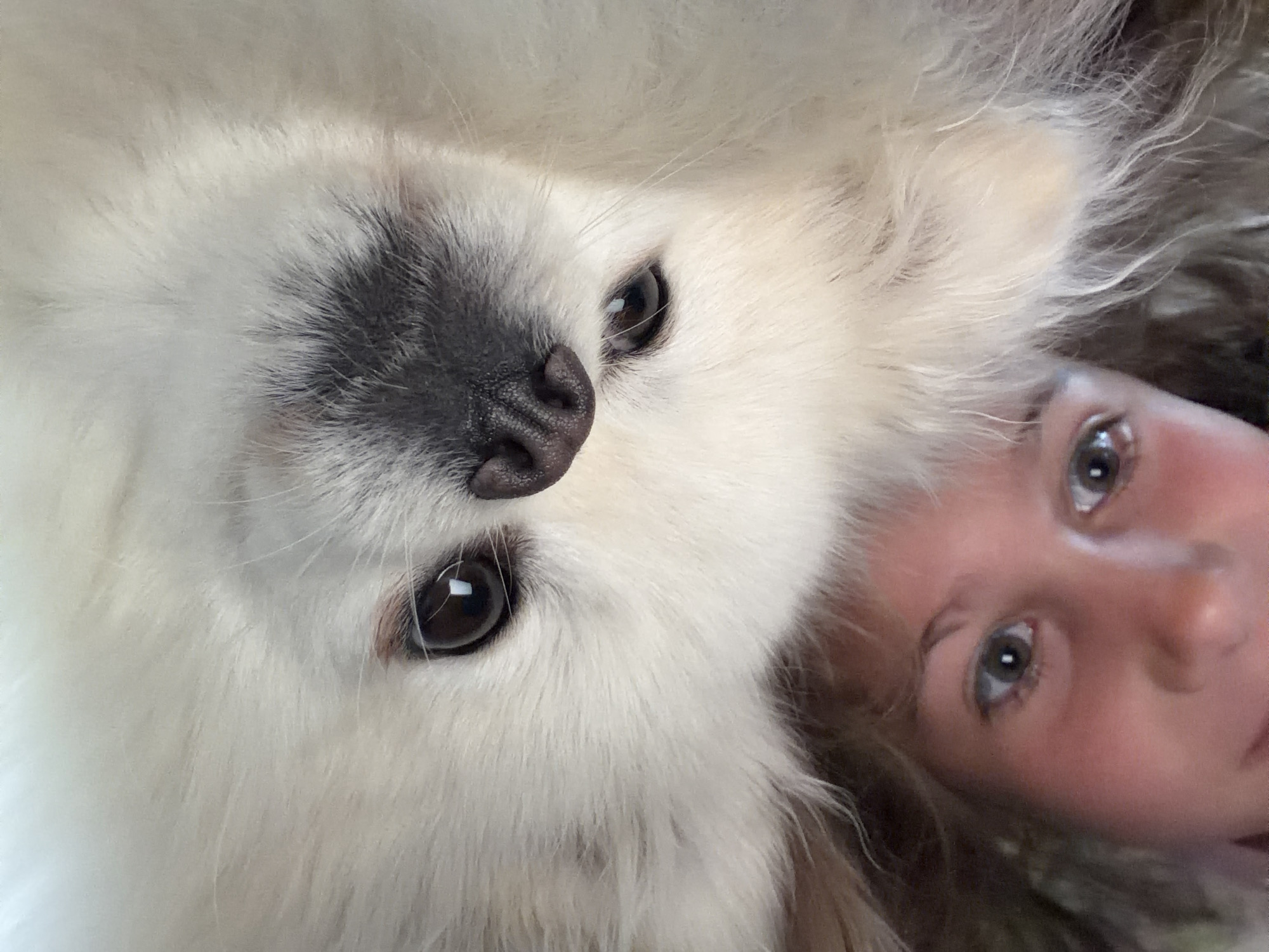 An upside-down selfie shows a young person's face and the face of a white dog. The person's eyes are looking upwards, and their hair is visible at the bottom of the frame. The dog's snout and eyes are prominent, with its white fur filling much of the image. The setting is indoors, likely a home, as suggested by the soft lighting and the close-up nature of the photograph. There are no specific landmarks to indicate a location in Папярнянскі сельскі Савет, Belarus.
