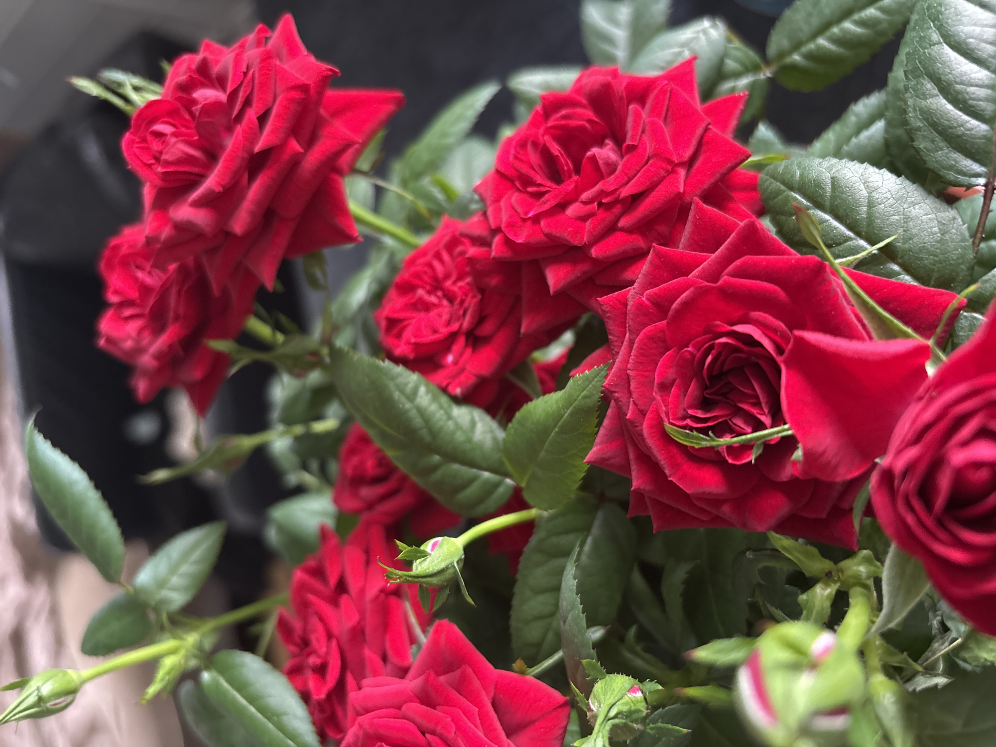 The image shows a bouquet of red roses with green leaves. The roses are in various stages of bloom, some fully open and some still buds. The background is out of focus, suggesting an indoor setting. The location is not evident from the image.