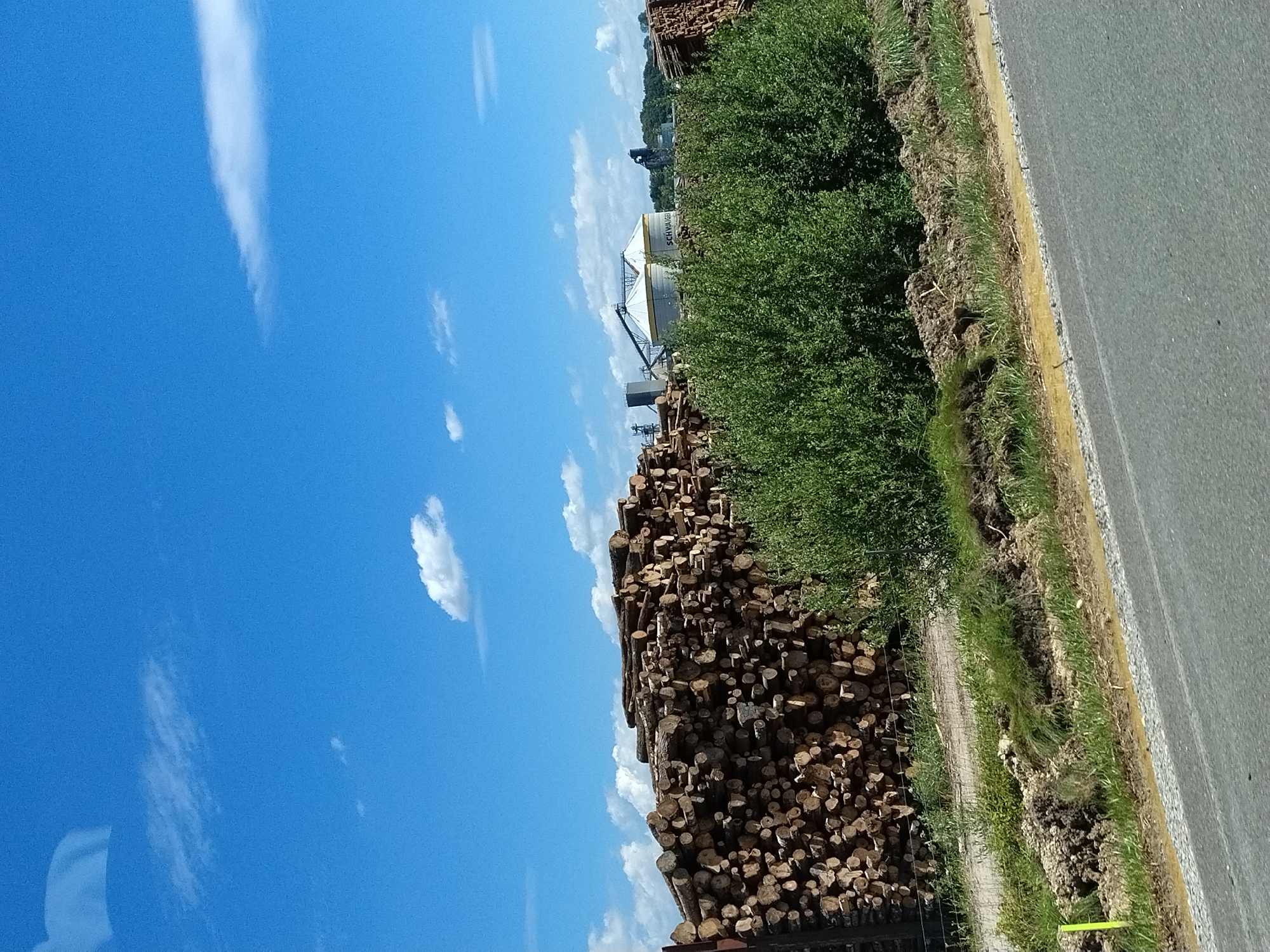 The image depicts a scene outside of Hengersberg, Germany, featuring a large pile of cut logs in the foreground, stacked high. Behind the logs, a dense green hedge runs across the mid-ground. Further in the background, industrial silos with the visible label "SCHW...ER" stand against a bright blue sky dotted with white clouds. A paved road is visible in the lower portion of the image. The scene appears to be a storage or industrial area adjacent to natural and built environments.