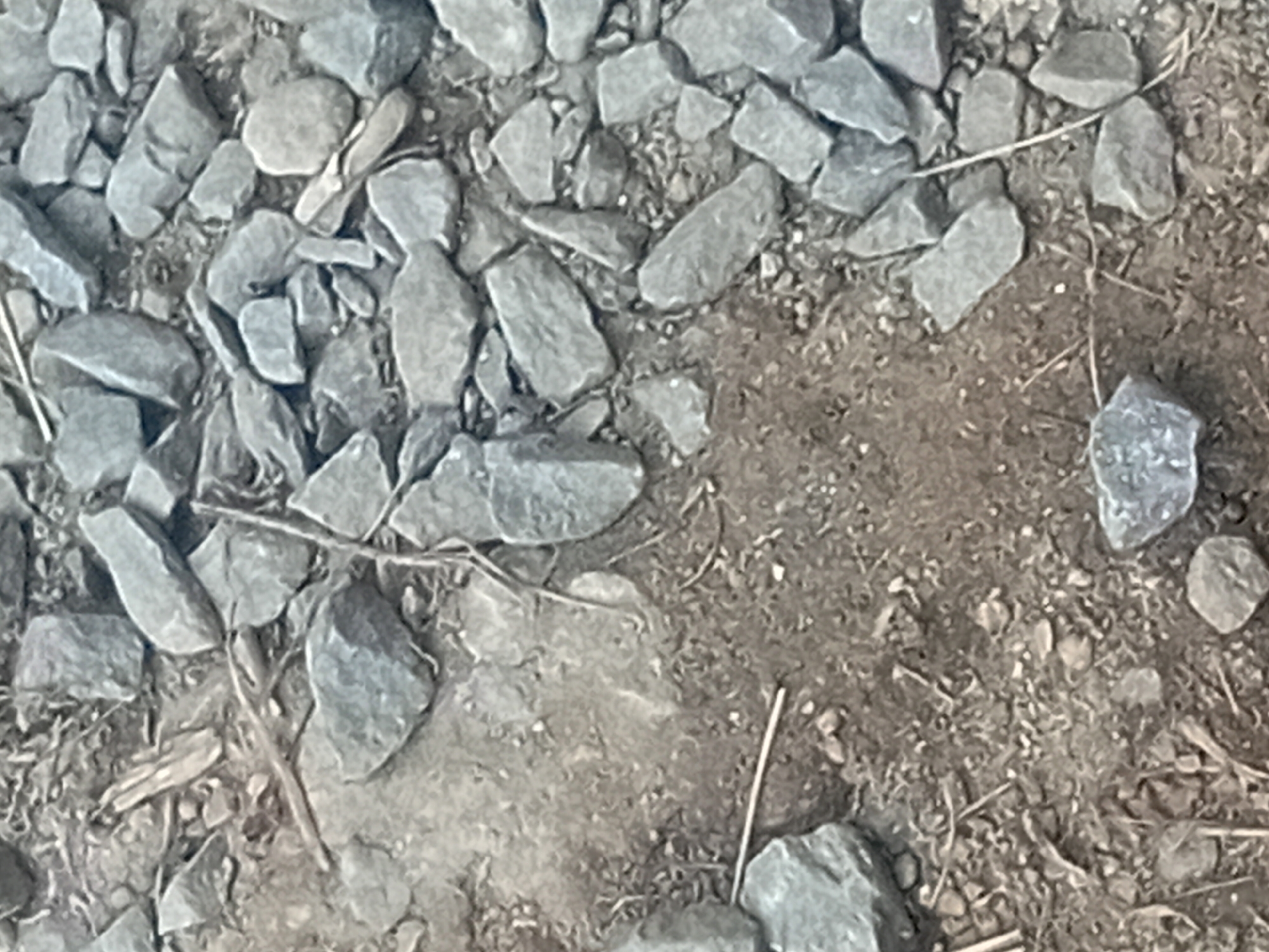 The image shows a close-up, aerial view of a dirt path covered with numerous grey rocks and some dried plant debris. The rocks vary in size and shape, with some appearing angular and others more rounded. In the center of the image, a small, flat, light-colored rock is visible on the dirt. There are no people or animals present, and the scene appears to be an outdoor area. The location is described as Verkhniachka, Ukraine, which is a town.