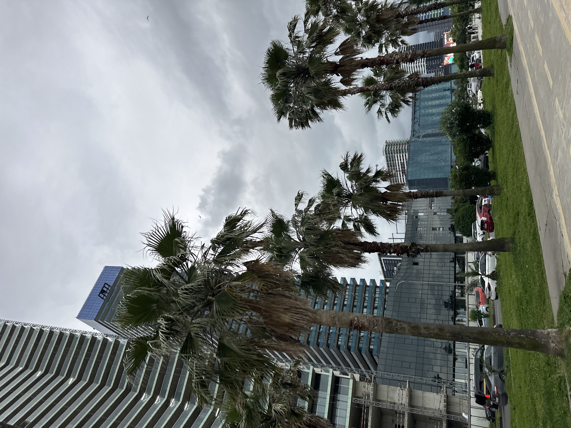 This media file depicts a street scene in Batumi, Georgia, likely during the day. The foreground is dominated by several tall palm trees with fronds blowing in the wind, suggesting a breezy or potentially stormy atmosphere. The sky is overcast with dramatic, grey clouds, hinting at impending rain or a generally muted light.
Behind the palm trees, a modern urban landscape unfolds. Several tall buildings with glass facades are visible. One building, in particular, stands out with its blue, angled glass exterior, catching the subdued light. Another prominent structure features a distinctive striped pattern on its facade, created by alternating bands of light and dark materials. In the background, more high-rise buildings contribute to the cityscape, some appearing to be under construction with visible scaffolding.
The scene includes a paved walkway or road with a yellow line marking its edge, bordering a strip of vibrant green grass where parked cars are visible. Among the cars, a red sedan, a white SUV, and a dark-colored car are identifiable. There are a few indistinct figures of people in the distance, near the parked cars and buildings.
The overall impression is one of a contemporary coastal city, with the strong presence of palm trees and modern architecture. The cloudy sky and wind-swept palms lend a sense of dynamic movement and a slightly dramatic, perhaps moody, ambiance to the otherwise orderly urban setting. There is no visible text in the image.