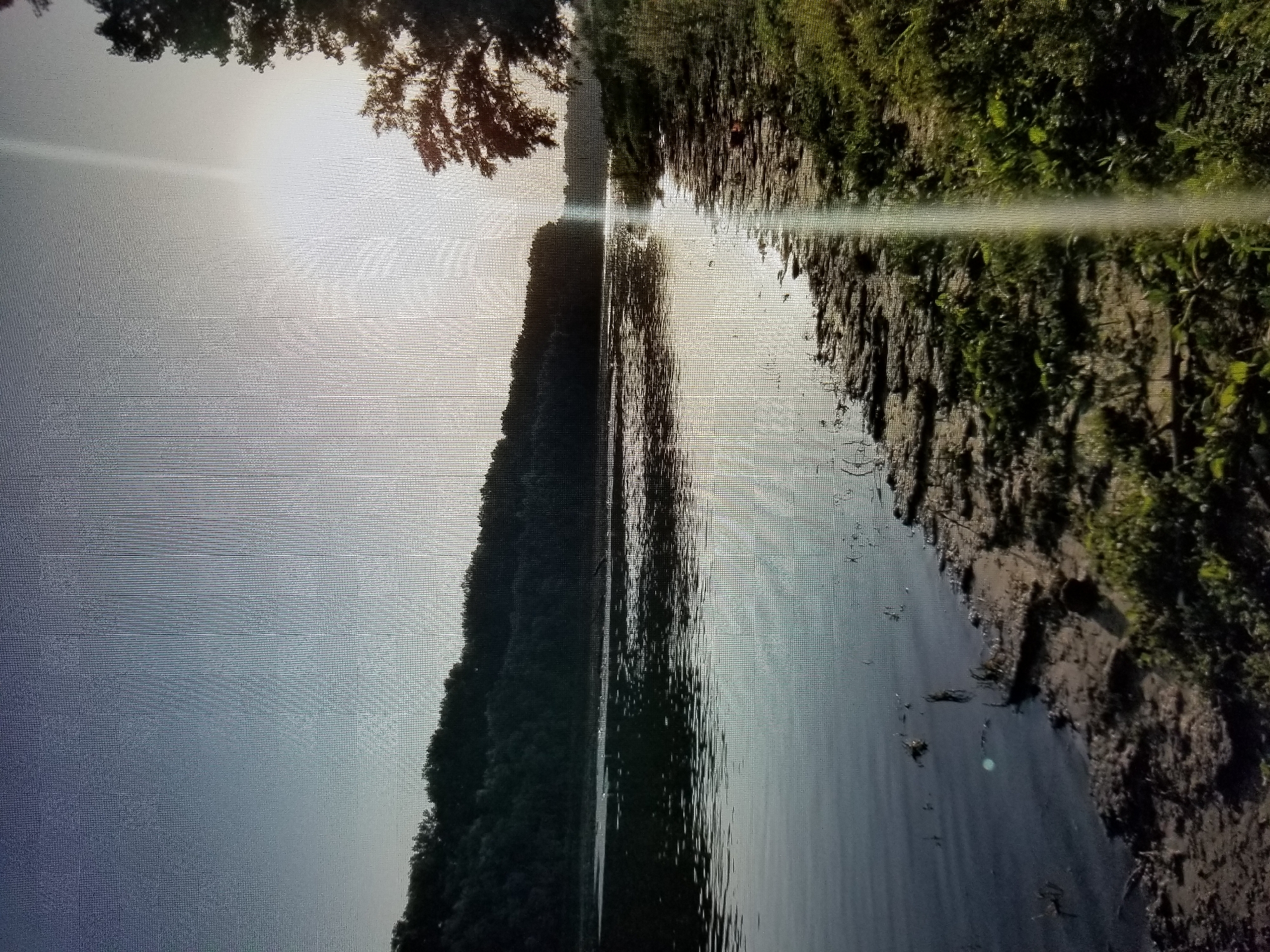 The image depicts a wide river at dusk, with a dense forest lining the opposite bank. The sun is low in the sky, casting a warm glow on the water and creating a bright lens flare. The foreground shows a muddy, overgrown shoreline with patches of green grass. The water's surface is calm, reflecting the dim light and the silhouette of the distant trees. There are no visible people or man-made structures in the image. The scene conveys a sense of natural tranquility and the approaching end of the day. This image appears to be a natural landscape.