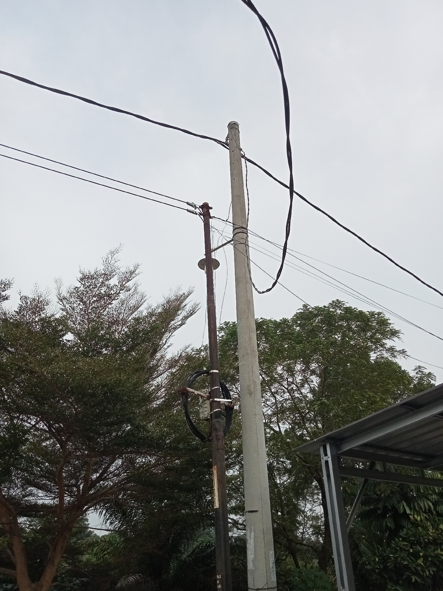 The image shows an outdoor scene in Kualu, Indonesia, under an overcast sky. Two utility poles are visible, one made of concrete and the other of dark metal. A network of power lines stretches across the frame, supported by these poles. The concrete pole stands to the right, while the metal pole is positioned to the left and is slightly closer to the viewer. Both poles have various attachments and insulators.
In the background, dense foliage from trees obscures much of the lower portion of the scene. The trees have a mix of green and reddish-brown leaves, suggesting a variety of species or seasonal changes. To the far right, a section of a silver-colored metal roof structure with supporting beams is partially visible, indicating a building or shelter. No people are present in the image, and the overall impression is one of a utility infrastructure within a natural or semi-natural environment. The image is taken from a low angle, looking upwards.