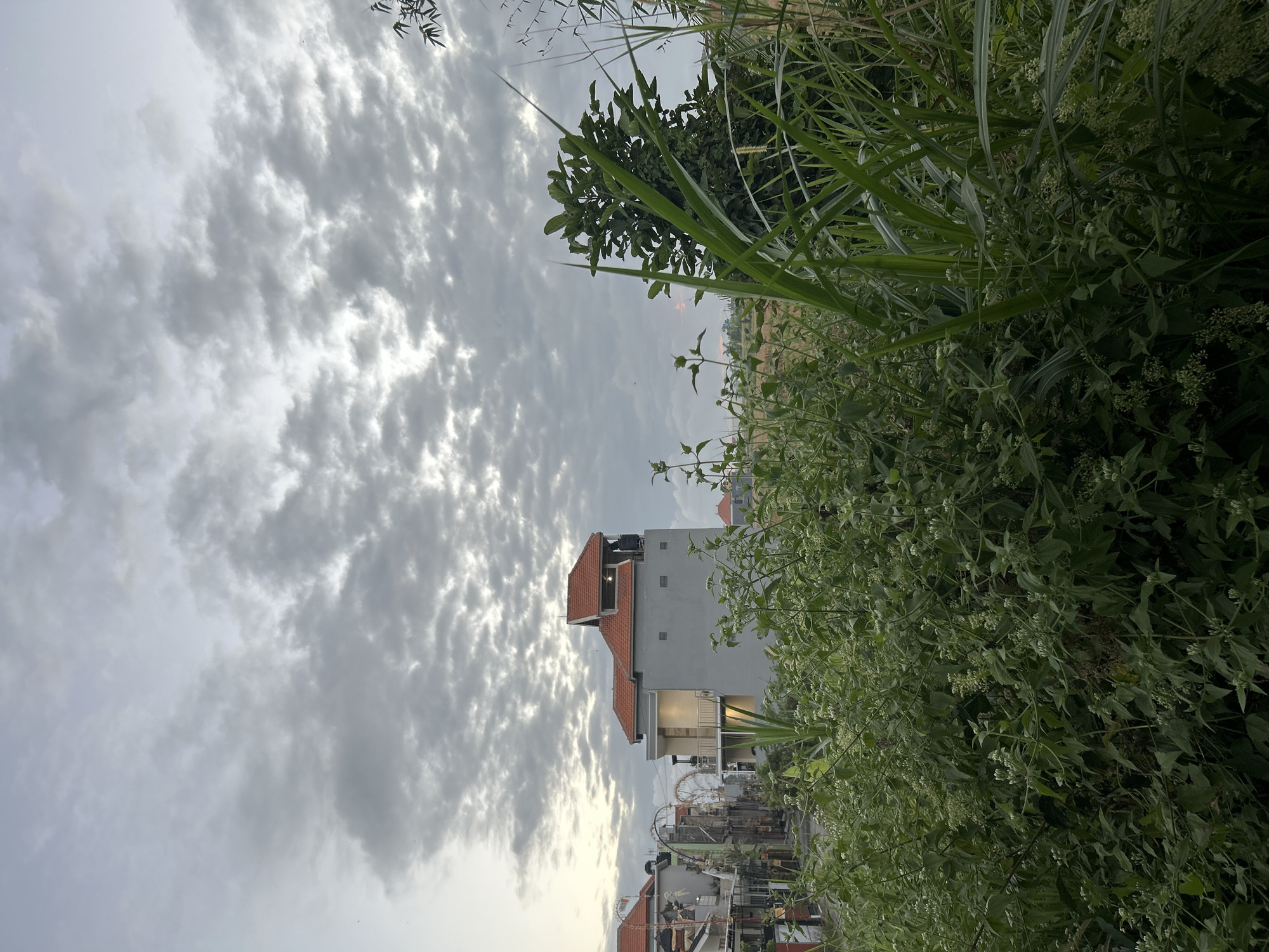 The image depicts a view of buildings and vegetation under a cloudy sky. In the foreground, dense green foliage with small white flowers fills the bottom portion of the frame. Behind the foliage, a multi-story building with a red tiled roof and grey walls is visible. This building features a balcony and several windows. To the left of this building, other structures with similar architectural elements are present, along with some decorative arched elements. Further in the background, a few trees and more vegetation can be seen. The sky is overcast with dramatic grey clouds. The scene is likely an outdoor area in a residential or mixed-use part of Sukawati, Indonesia, possibly during the late afternoon or early evening given the lighting conditions. No people are visible in the image.