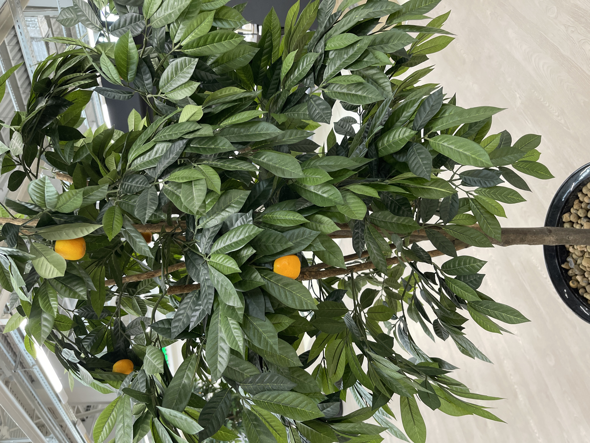 This media file shows a close-up view of a faux potted lemon tree with several bright orange lemons scattered among its dark green leaves. The tree is likely indoors, possibly in a retail or home setting, given the presence of what appears to be a ceiling grid and lighting fixtures in the background. The leaves are dense and varied in their orientation, creating a lush appearance. The lemons are round and vibrant, adding pops of color to the greenery. One lemon is particularly prominent, nestled amongst the leaves in the center of the frame, while others are partially obscured. The trunk of the tree is visible, a light brown, rough-textured branch extending diagonally across the image. To the right, the edge of a black pot containing small, light-colored pebbles or decorative stones is visible, suggesting the tree is planted. The overall impression is one of a decorative indoor plant, designed to mimic a real lemon tree. There is no visible text in the image. The lighting suggests an indoor environment with artificial illumination.