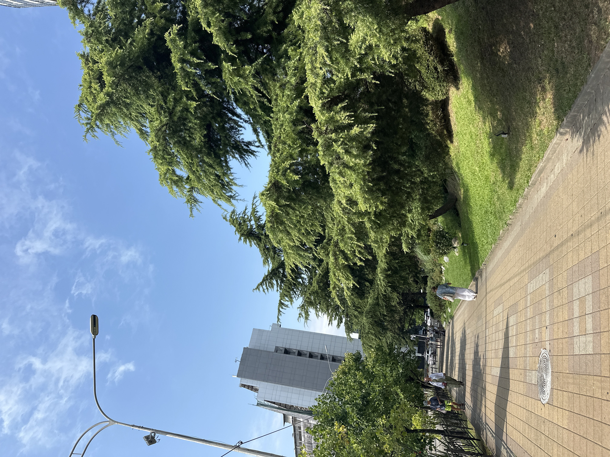 The image shows a wide paved pedestrian walkway in Sochi, Russia, lined with lush green trees and grass. Several people are walking on the path, some in casual attire. In the background, a modern building with a gray facade stands tall against a clear blue sky with scattered clouds. The walkway is made of light-colored rectangular pavers, and a circular metal grate is visible in the foreground. The overall scene depicts a pleasant day in an urban park or promenade area.
