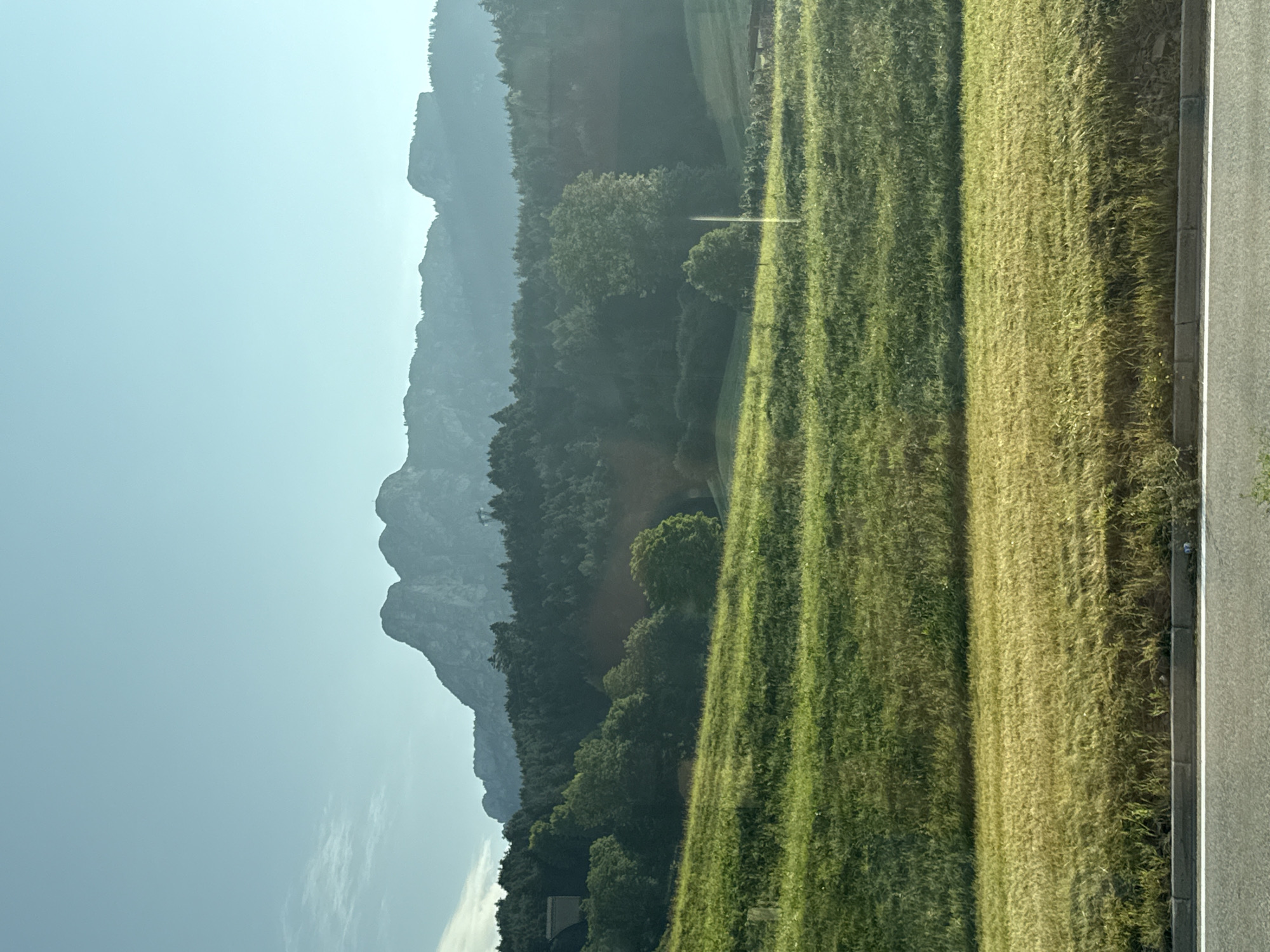 The image captures a serene, sun-drenched landscape with a layered composition. In the foreground, a paved road runs horizontally, bordered by a low concrete curb. Above the road, a grassy embankment slopes upwards, transitioning from a golden hue at its base to a lush green at its higher section. This grassy area is dotted with small white wildflowers.
Further back, a densely forested area forms a dark green band across the middle ground, with various shades of green indicating different types of trees. Peeking through the trees on the left is a section of a dark-colored building, possibly a barn or shed. In the far distance, a majestic mountain range dominates the horizon. The mountains are silhouetted against a clear, pale blue sky, with hints of lighter clouds on the left. The overall impression is one of natural beauty and tranquility.
This scene is likely a view from the outskirts or a scenic road within the vicinity of Tesero, Italy, a commune located in the Trentino region of the Dolomites. The mountainous backdrop is characteristic of this alpine area, while the cultivated fields and forests suggest a rural or semi-rural setting consistent with a town like Tesero.