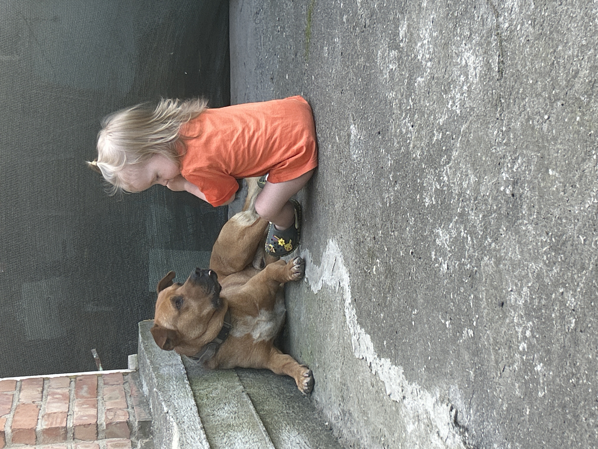 A young child with blonde hair, wearing an orange t-shirt and sandals, kneels on a concrete surface. Beside the child, a brown dog lies on its back, looking up. The scene appears to be outdoors, possibly a backyard or patio, with a textured wall in the background and brickwork visible at the bottom left. The concrete surface is weathered and shows some white markings. The child is looking down at the dog, and their interaction suggests a playful or affectionate moment. The lighting indicates it might be daytime, with natural light illuminating the scene. No visible text is present in the image. The location is identified as Prokhladny, Russia.