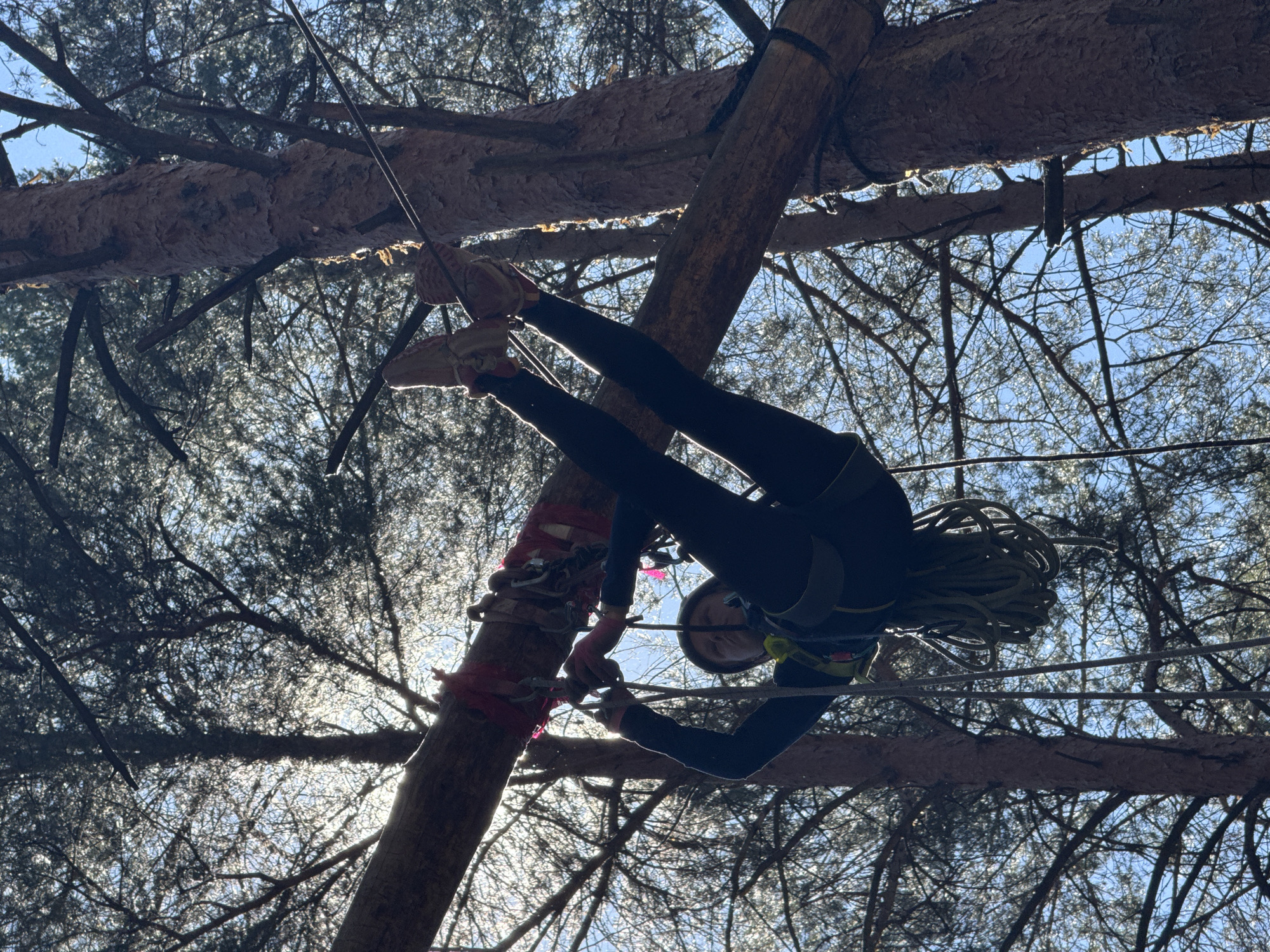 In an outdoor adventure park, likely located in Chaikovsky, Russia, a person wearing a dark jumpsuit, helmet, and harness is suspended upside down from a horizontal wooden beam. Their legs are extended upwards, with their feet, clad in light-colored sneakers, pointing towards the sky. The person is holding onto carabiners attached to ropes and a safety line, suggesting they are participating in an aerial obstacle course or a similar activity. The background is a dense forest with tall trees, their branches silhouetted against a bright, sunny sky. The sunlight filters through the foliage, creating a dappled effect. The beam is secured to two tree trunks with ropes. A coiled rope is visible hanging from the person's harness. The overall scene depicts an active and challenging outdoor experience.