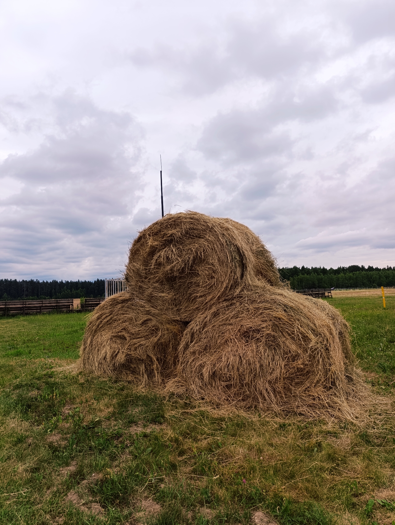 The image depicts a rustic outdoor scene, likely a farm or rural landscape. The primary subject is a large, rounded haystack, composed of numerous smaller hay bales stacked and intertwined to form a substantial mound. The hay is a dry, golden-brown color, with loose strands and wisps scattered around its base, suggesting it has been there for some time or is in the process of settling.
Behind the haystack, a green grassy field stretches towards a dense line of dark green trees, indicating a wooded area. The trees form a backdrop that creates depth and a sense of natural enclosure. In the middle ground, there are glimpses of wooden fencing, suggesting an enclosure or boundary, possibly for livestock or to delineate an area of the property. A white, somewhat ornate fence or gate can also be seen to the left of the haystack, adding another element of human construction within the natural setting. A thin, dark, vertical pole, possibly an antenna or part of a weather station, rises from the top of the haystack, breaking the organic silhouette.
The sky above is overcast with a thick layer of grey and white clouds, hinting at a cloudy or possibly stormy day. The light is diffused, typical of an overcast sky, and there are no strong shadows, suggesting it is either early morning or late afternoon. The overall mood of the image is serene and peaceful, conveying a sense of rural tranquility. The location is identified as Ivanovskoe, Russia, which aligns with the typical landscape imagery associated with the Russian countryside. There is no visible text in the image.