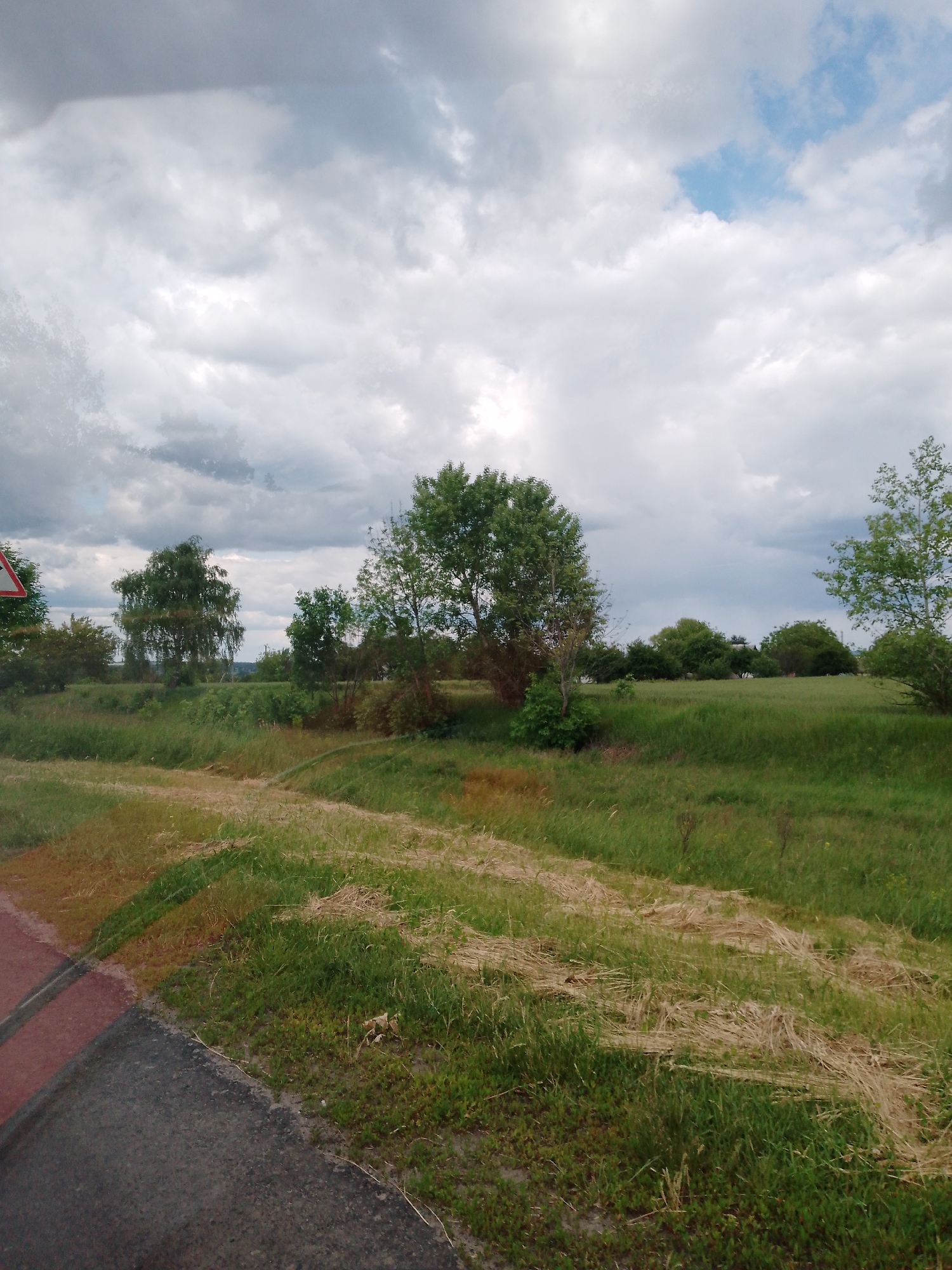 The image depicts a grassy field with trees under an overcast sky. A path of flattened grass cuts through the field. A road is visible in the lower left corner of the image. A triangular road sign is present on the left side of the image. The location is in a city called Unknown, Unknown.