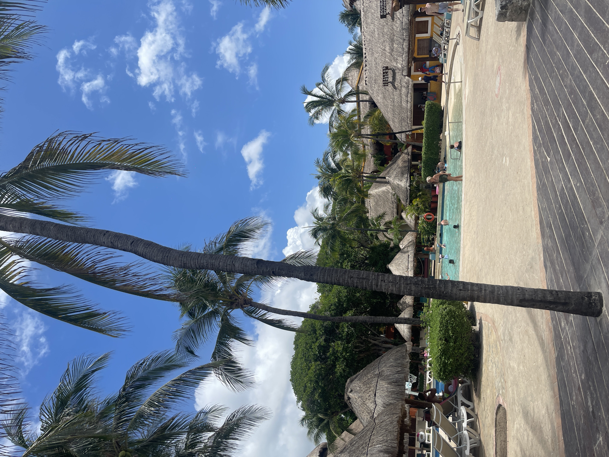 The image captures a scene at a resort in Playa del Carmen, Mexico. The sky is bright blue with scattered white clouds. A tall palm tree trunk dominates the left side of the frame, with palm fronds extending outwards. A swimming pool, occupied by several people, sits on the right side of the frame, lined by a concrete deck. A variety of buildings and structures with thatched roofs are visible, surrounded by lush green vegetation and palm trees. Lounge chairs are placed under some of the thatched structures.