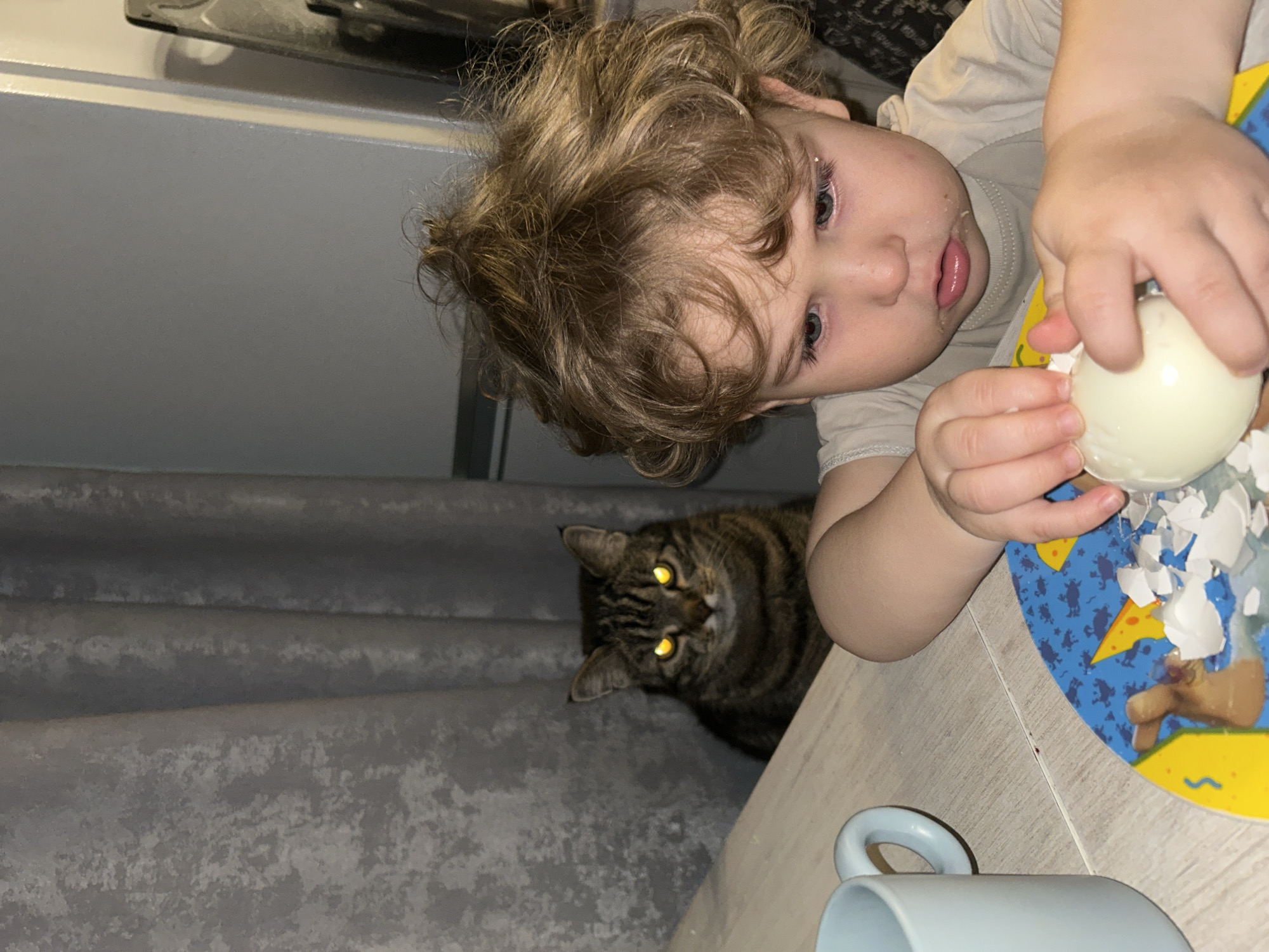 A toddler with curly blond hair is peeling a hard-boiled egg on a blue and yellow patterned plate. A tabby cat with glowing yellow eyes watches from behind. A pale blue mug sits on the table near the plate. A patterned curtain hangs in the background and white cabinets are visible above the child. The location is likely a domestic interior in Klin, Russia, given the user's location.