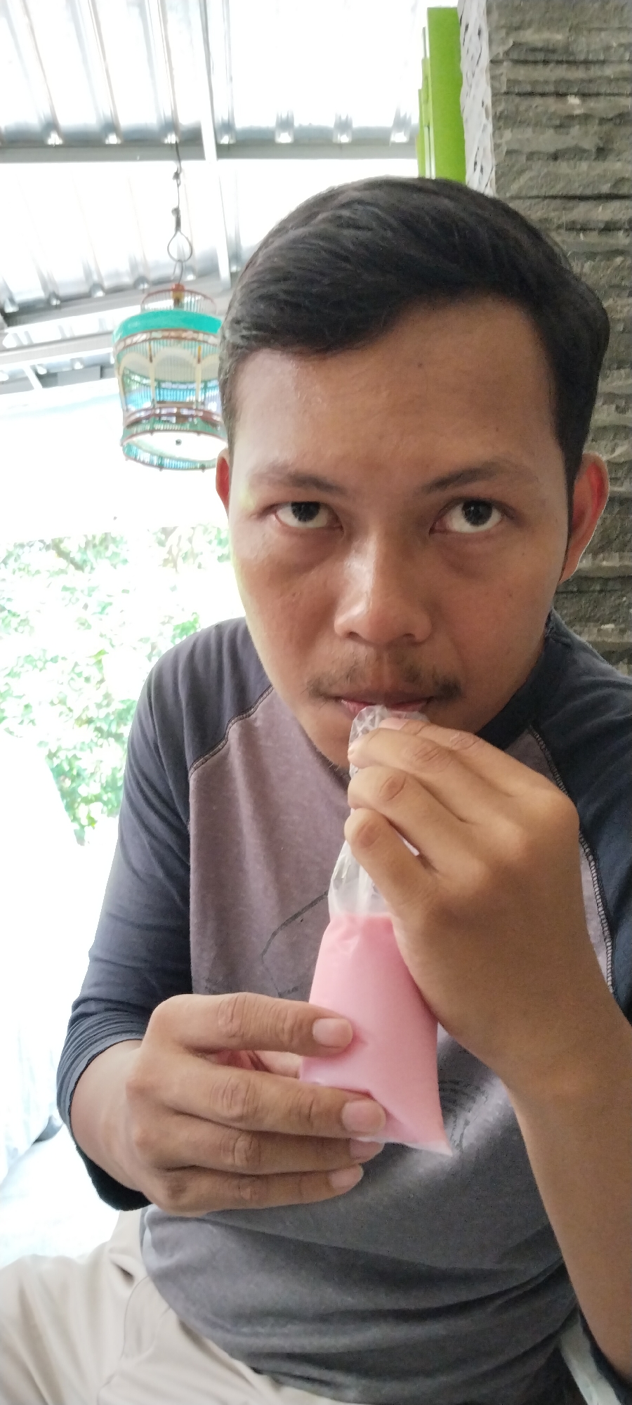 A medium shot captures a man in Peganjaran, Indonesia, with dark hair and a mustache, looking directly at the camera with his eyes wide open. He is wearing a grey t-shirt with dark grey sleeves. He holds a translucent plastic bag filled with a pink substance to his mouth, seemingly about to drink it. His right hand cradles the bottom of the bag, while his left hand holds it near his mouth. In the background, a grey stone wall and lush green foliage are visible, suggesting an outdoor setting. A birdcage hangs from a metal roof structure.