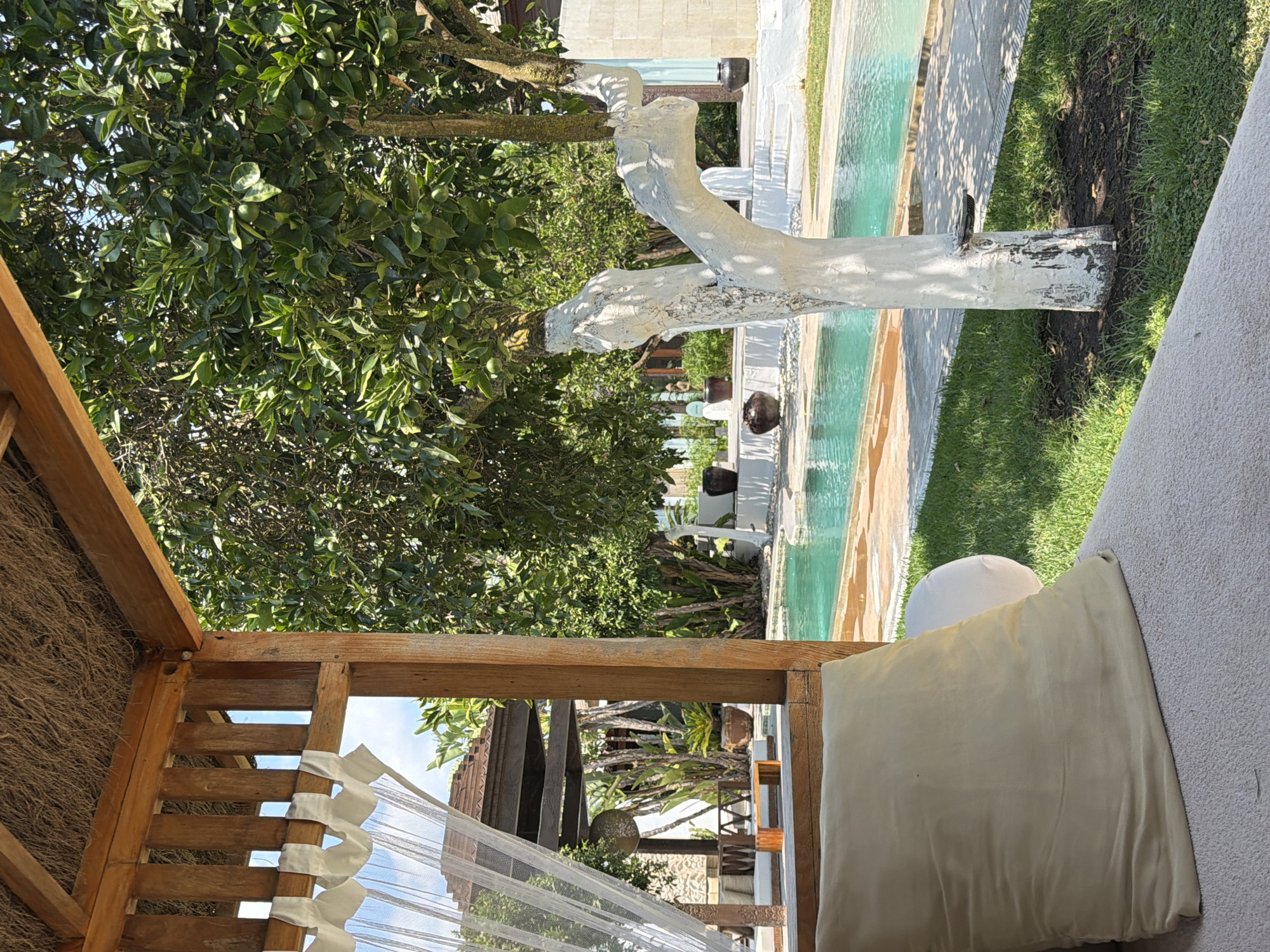 This is a photograph of a tranquil outdoor poolside area in Sant Joan de Labritja, Spain. In the foreground, a padded chaise lounge with a large, light beige cushion is positioned on a textured grey surface, suggesting a private resort or luxury villa setting. Sheer white curtains hang from a wooden gazebo structure, partially obscuring a view of the background.
Beyond the gazebo, a bright turquoise swimming pool is visible, with a paved walkway surrounding it. The pool area is bordered by lush green grass. A prominent, whitewashed tree with visible dark marks on its trunk stands near the pool, its branches laden with small green fruits, likely citrus.
In the middle ground, architectural elements suggestive of a Mediterranean or Balinese style are present, including wooden beams, textured walls, and tiled roofs. Various potted plants and decorative dark ceramic vases are scattered around the area, adding to the ambiance. The background reveals more of the surrounding greenery and the bright blue sky, indicating a sunny day. No people are present in the scene.