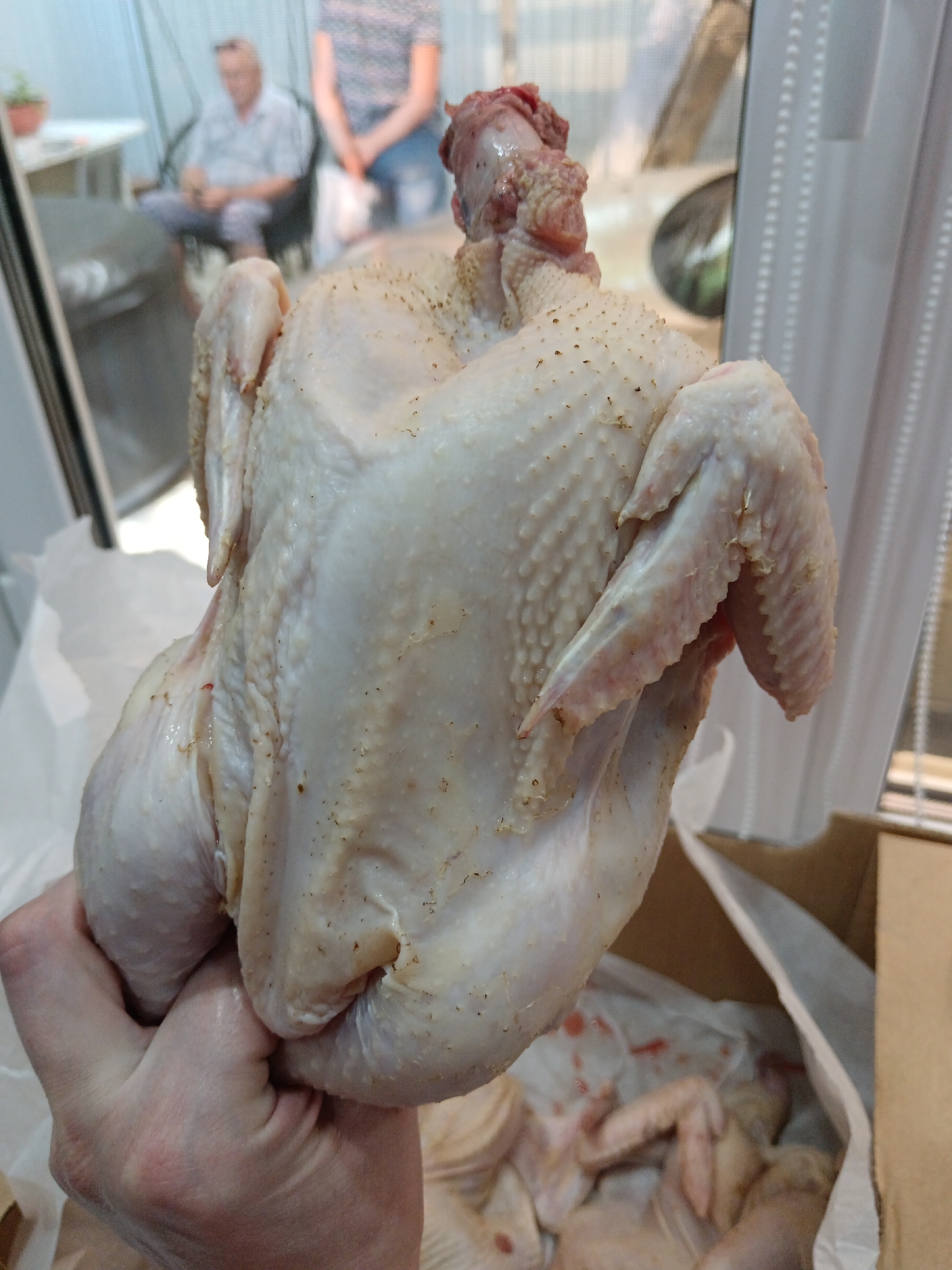 In an indoor setting, a person's hand holds a raw, whole chicken with visible seasoning. The chicken is pale-skinned and appears to be partially prepared. In the background, blurred figures are visible. One person is seated in a chair, and another stands. A table with a potted plant is also in the background, suggesting a domestic or semi-domestic environment. The overall scene implies food preparation. The image context from Sorochinsk, Russia, indicates this is likely a home or a rural setting within the city.