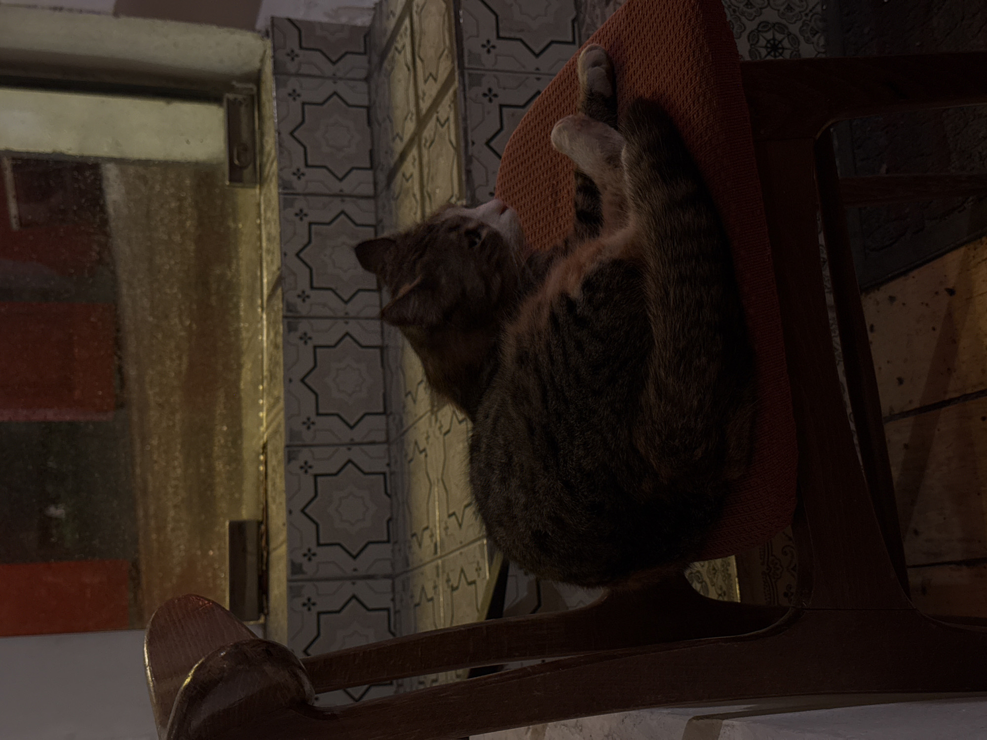 A medium-sized tabby cat is curled up on the padded back of a wooden chair. The chair is set against a wall tiled with geometric patterns. To the left, there is a glass-paned window with a metallic frame. The image was taken in Yerevan, Armenia.