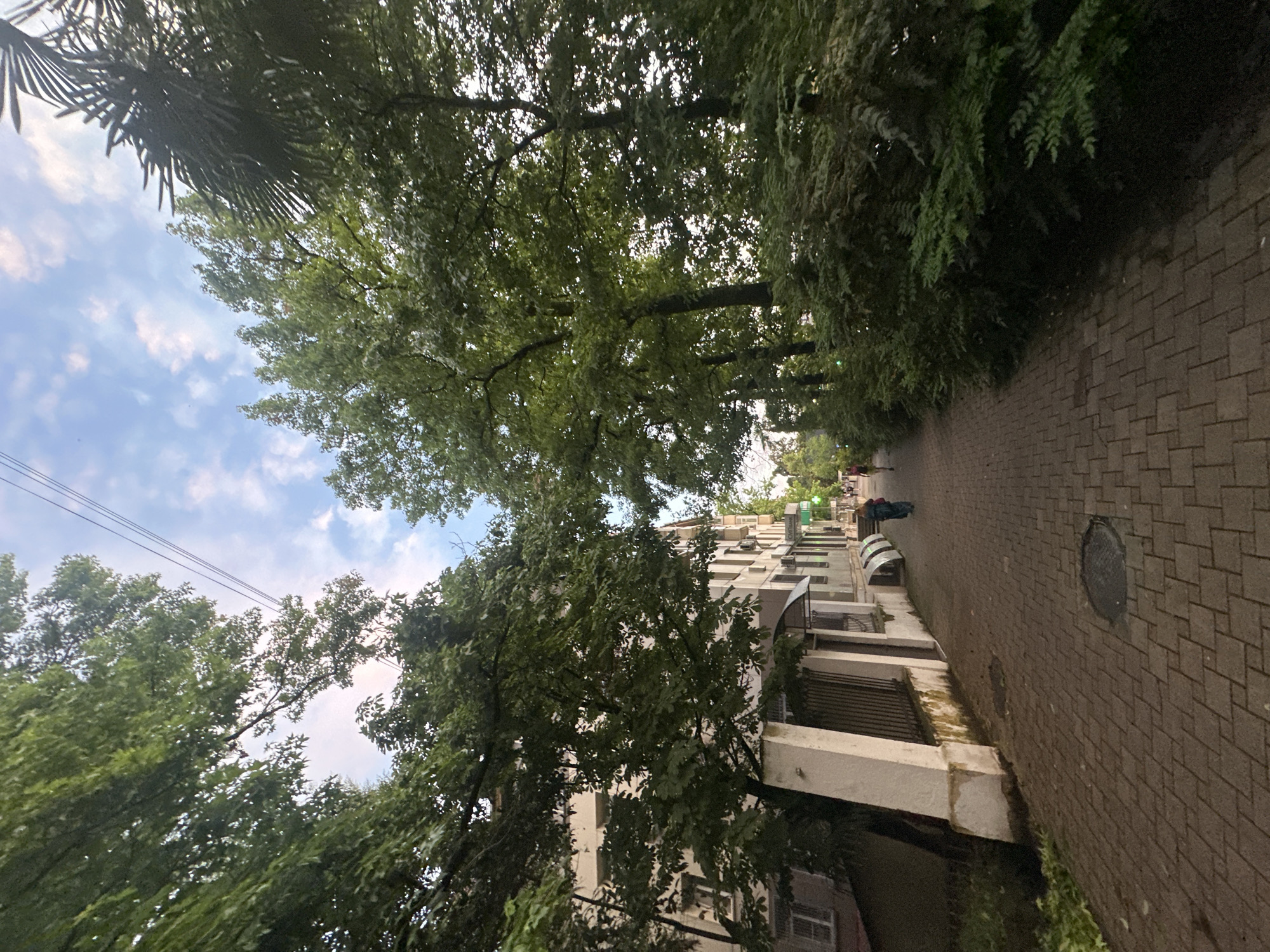 The image captures a pedestrian pathway lined with trees and buildings in Sochi, Russia. The pathway is paved with brickwork, and a manhole cover is visible. On the left, a multi-story building with white and light-colored walls stands adjacent to the pathway, partially obscured by dense foliage from a large tree. A white pillar with a fence and some dark metal bars is also present in front of the building. On the right, the pathway is bordered by lush green trees and bushes, creating a canopy overhead with a sliver of the sky visible. The sky is partly cloudy with streaks of pink and white. Two individuals are walking away from the camera on the pathway; one person is wearing a blue garment and another person is further down the path wearing a pink top. A sign with Cyrillic lettering is visible on the right side of the pathway, indicating a commercial establishment. The overall scene depicts a pleasant urban environment with significant natural elements.