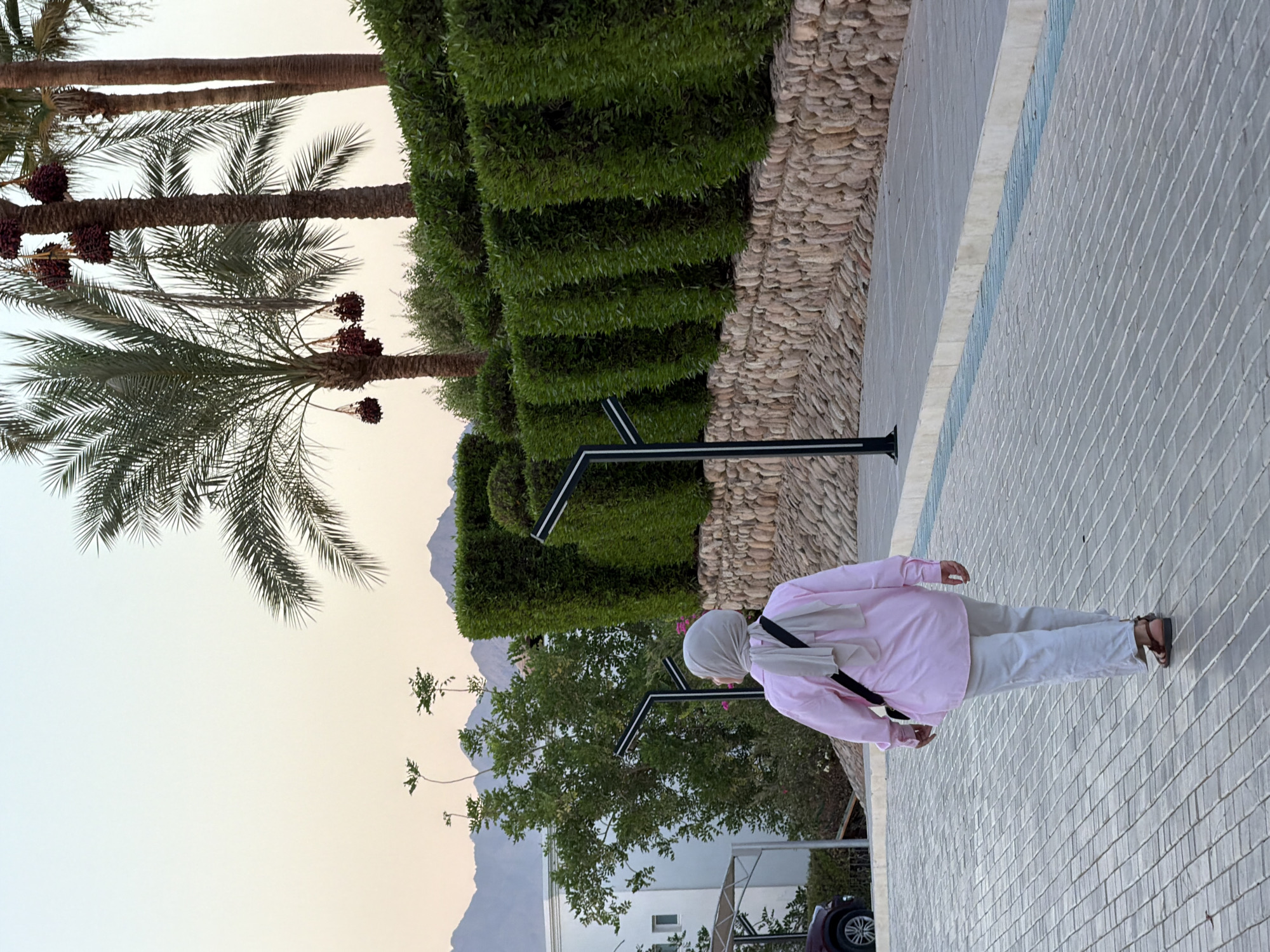 In Sharm El Sheikh, Egypt, a woman wearing a pink long-sleeved shirt, white pants, and a light gray hijab walks away from the camera on a paved walkway. She has a black strap across her shoulder, and is wearing brown sandals. The walkway is made of light gray rectangular pavers arranged in a pattern. To the right of the walkway, a low wall constructed of rounded, tan-colored stones separates it from a row of neatly trimmed, dark green hedges. Beyond the hedges, palm trees with hanging clusters of dark red dates are visible, along with mountainous terrain in the background under a pale sky. To the left of the walkway, a white building with a dark-covered carport and a parked dark-colored car can be seen. The overall scene depicts an outdoor area with a blend of natural and manicured landscaping.