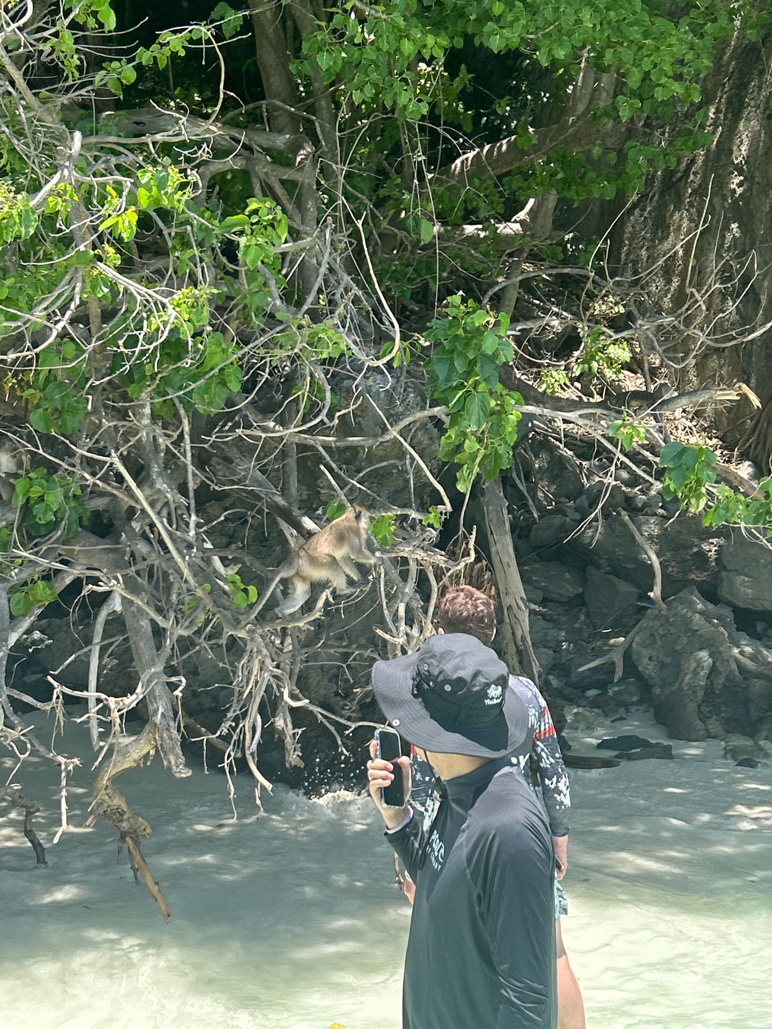 The image shows a monkey climbing on branches of a tree on a beach. The monkey is brown and appears to be jumping between branches. In the foreground, two people are standing on the beach, facing away from the camera. One person is wearing a black hat and a long-sleeved shirt, and is holding a smartphone. The other person is wearing a patterned long-sleeved shirt. The beach has white sand and clear, shallow water. The background features a rocky cliff face with dense vegetation. The scene is likely at Ton Sai, Thailand, a known location for its beaches and rock climbing.