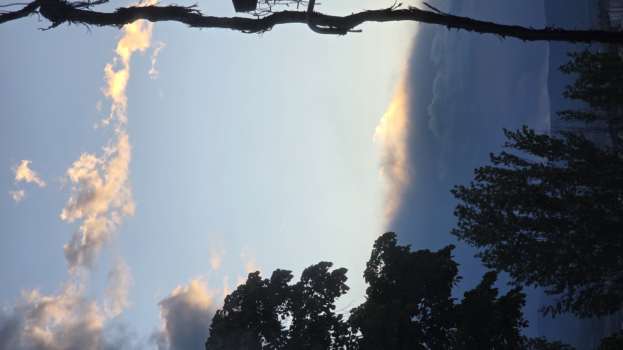 The image presents an upside-down view of a sky transitioning from light blue to dark blue, with clouds illuminated by the setting sun on the left. Trees are silhouetted in the foreground, framing the sky. Overhead, a dark, frayed cable or branch stretches across the top of the frame. The location in Blagoevgrad, Bulgaria cannot be confirmed.