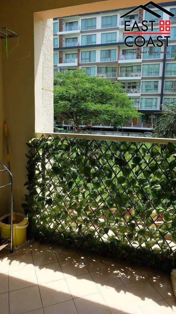 City Garden photo 8