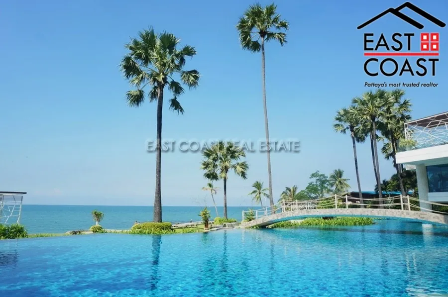 The Palm photo 18