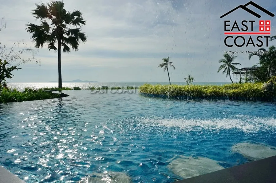 The Palm photo 16