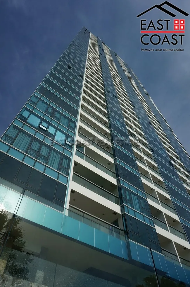 The Palm photo 13