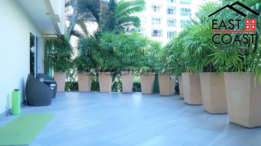 City Garden photo 14