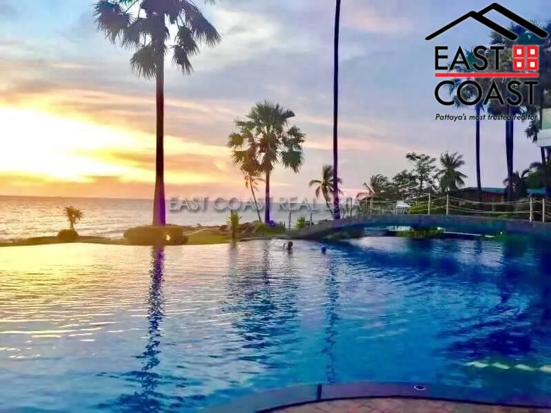 The Palm photo 7