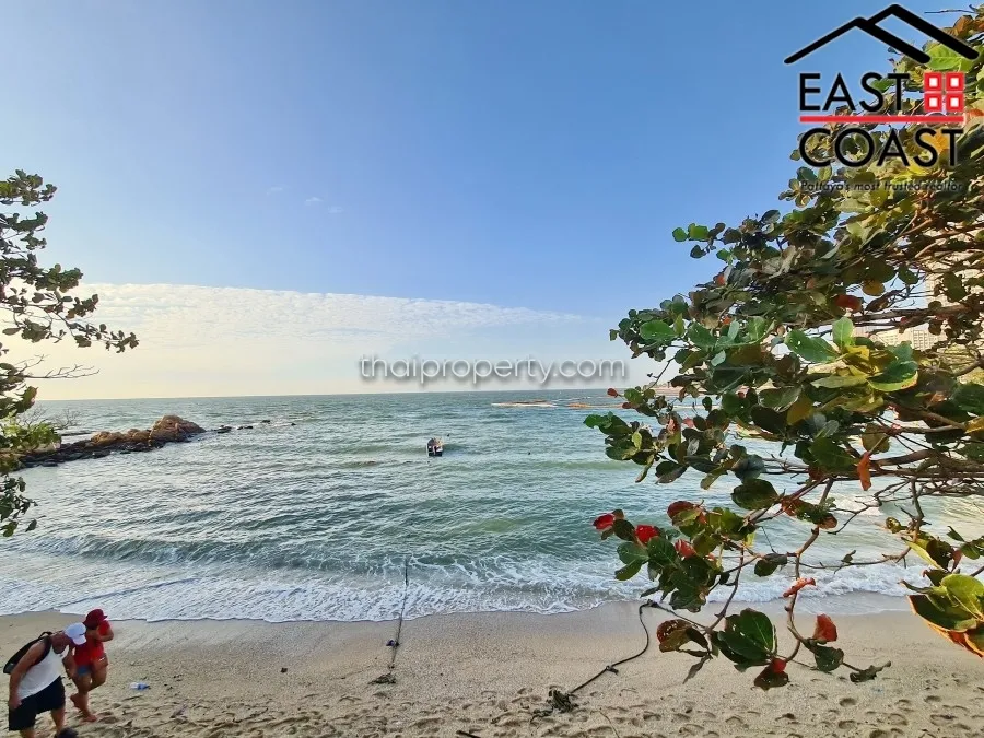 The Cove photo 52