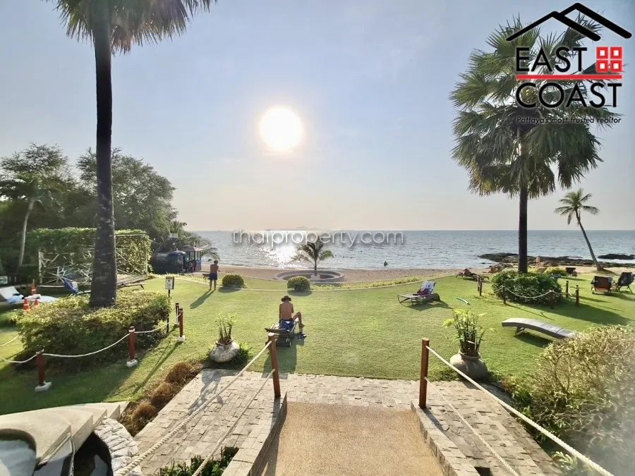 The Palm photo 32