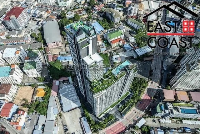 Arcadia Millennium Tower photo 36