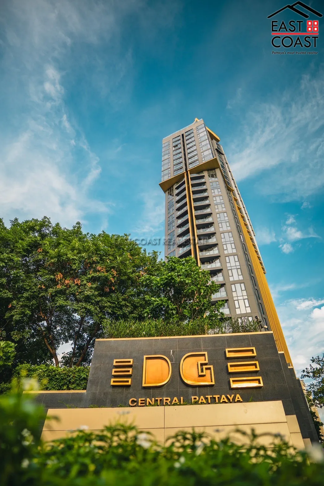 The Edge photo 19
