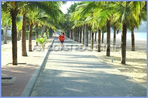 STS photo 6