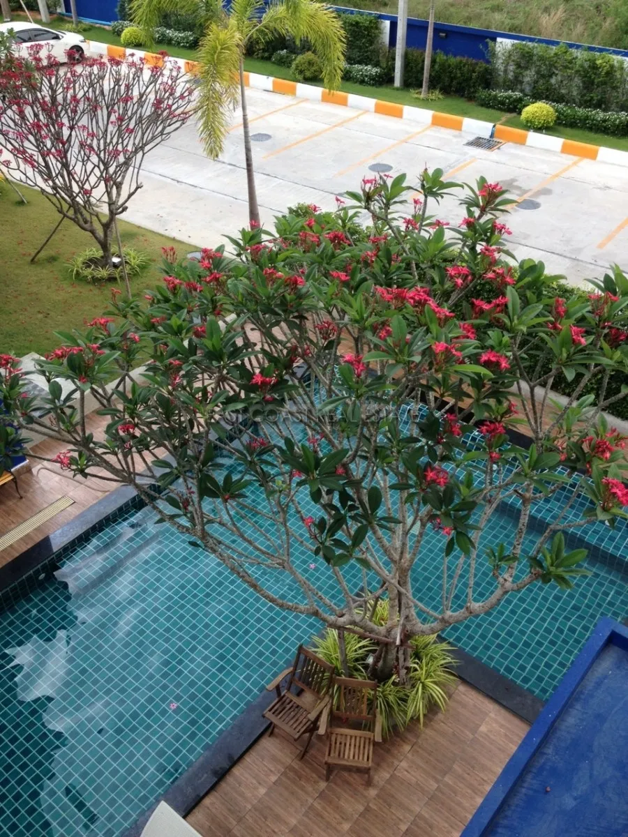 The Blue Residence photo 7