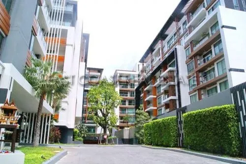 The Urban