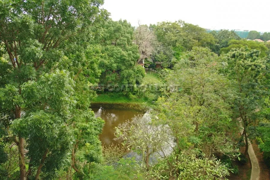 The Park photo 22