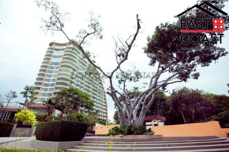 The Cove photo 3