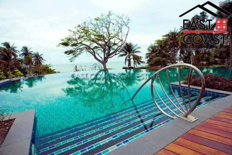 The Cove photo 5